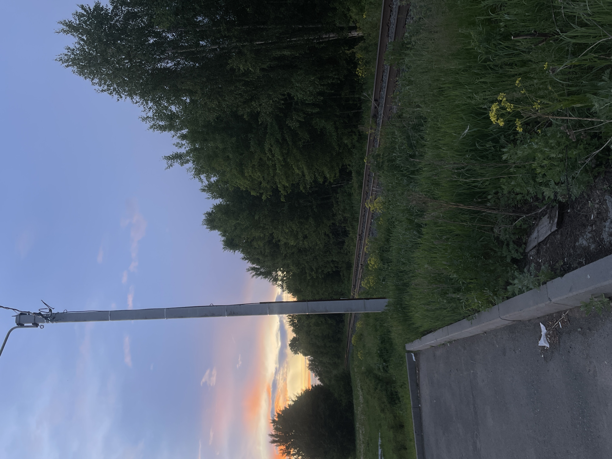 The image depicts an outdoor scene at either sunrise or sunset, characterized by a colorful sky and diverse elements of nature and infrastructure. The perspective is horizontally oriented, but the original image is rotated 90 degrees clockwise.
In the upper portion of the image (when correctly oriented), the sky transitions from a soft blue overhead to a vibrant display of pink, orange, and yellow clouds along the horizon, suggesting the warm light of the setting or rising sun. A dense line of tall green trees, possibly birch, with dark foliage, stretches across the middle ground, partially silhouetted against the bright horizon.
To the right of the trees, a set of railway tracks runs horizontally, bordered by overgrown green grass and some patches of small yellow wildflowers. To the left, a paved asphalt road with a grey concrete curb extends along the foreground. A tall, slender grey utility pole stands vertically on the left side, extending upwards into the sky, with some electrical fixtures visible near its top.
There are no people or animals visible, and no discernible activity is taking place. The scene appears peaceful and quiet, showcasing a blend of natural landscape and human-made structures. There is no visible text in the image. The location context is Votkinsk, Russia.
