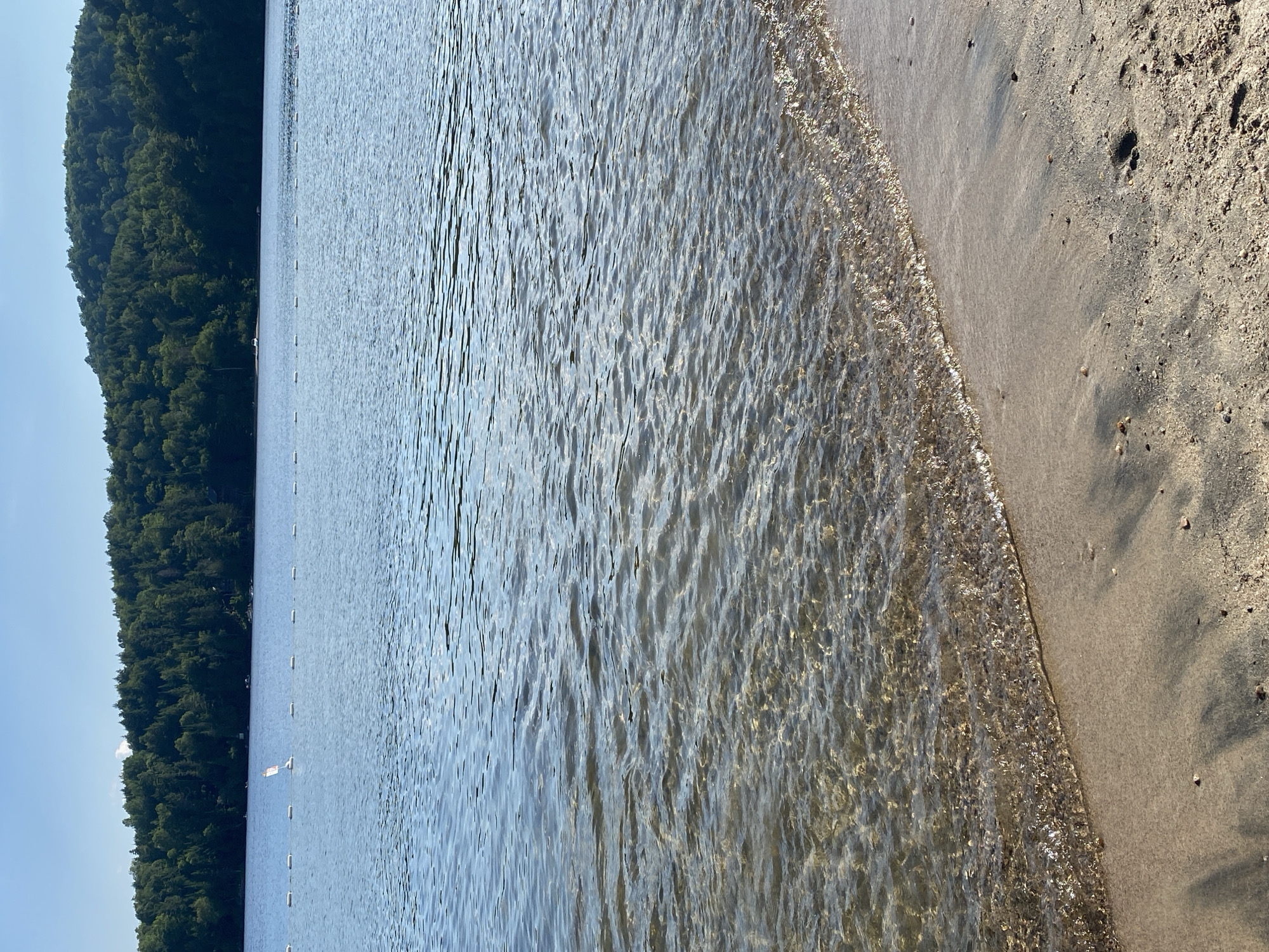 The image depicts a serene lakefront scene on a sunny day. The foreground is dominated by a sandy beach, with the clear, shallow water gently lapping at the shore. The sand is a light brown color, with some small pebbles and debris scattered across it. A few gentle ripples are visible on the water's surface, which reveals the sandy bottom beneath.
In the mid-ground, a line of white buoys stretches across the water, marking a designated swimming area. Beyond the buoys, the lake extends further, its surface reflecting the blue sky. A small, white sailboat with a red marking is visible in the distance on the left side of the frame.
The background features a dense, dark green forest that covers a rolling hillside. The trees are lush and full, suggesting a vibrant natural landscape. The sky above is a clear, bright blue, with a hint of white cloud near the horizon on the left. The overall impression is one of tranquility and natural beauty. This scene is consistent with the environment found at Lac Simon in Duhamel, Canada, a popular recreational area known for its beaches and surrounding forests.