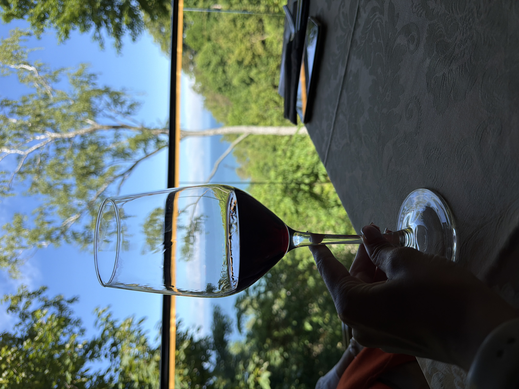 An outdoor view from a restaurant table in Svetlogorsk, Russia, showcases a hand holding a wine glass filled with red wine. The hand, with painted fingernails, is positioned in the lower left quadrant of the frame, with the wine glass occupying the central portion of the image. The background features a blurred expanse of lush green trees and foliage, a clear blue sky, and a distant body of water, suggesting a scenic, possibly coastal, location. On the table, a dark tablecloth with a subtle pattern is visible, along with a mobile phone and cutlery. The overall impression is one of relaxed dining with a picturesque view.
