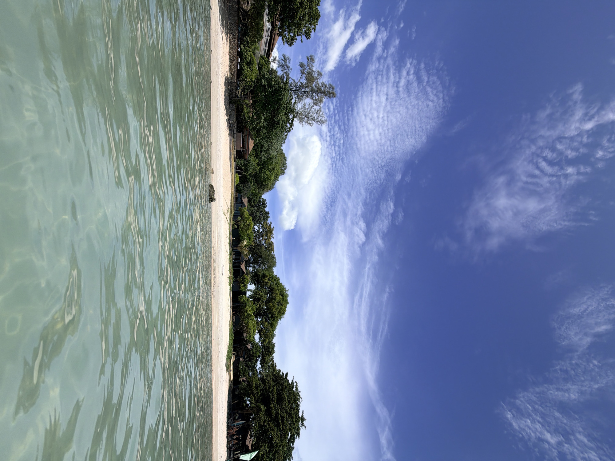 This image depicts a serene beach scene on Ko Samui Island, Thailand. The foreground is dominated by crystal-clear, shallow turquoise water, with gentle ripples reflecting the sunlight, revealing the sandy bottom. A sandy beach forms the middle ground, lined with lush green trees and vegetation. Several small buildings, possibly bungalows or huts, are nestled amongst the trees, suggesting a resort or residential area. The architecture appears to be simple, with thatched roofs and wooden structures.
Further back, a large, mature tree with a distinctive, somewhat sparse canopy stands prominently on the left side of the beach. The background features a vibrant blue sky adorned with scattered, wispy white clouds. A single dark rock is visible on the sand near the water's edge on the right side of the frame. The overall atmosphere is tranquil and idyllic, characteristic of a tropical paradise. No people are visible in the image, enhancing the sense of solitude and peace. The image captures a sunny day with ample natural light, highlighting the vibrant colors of the environment.
