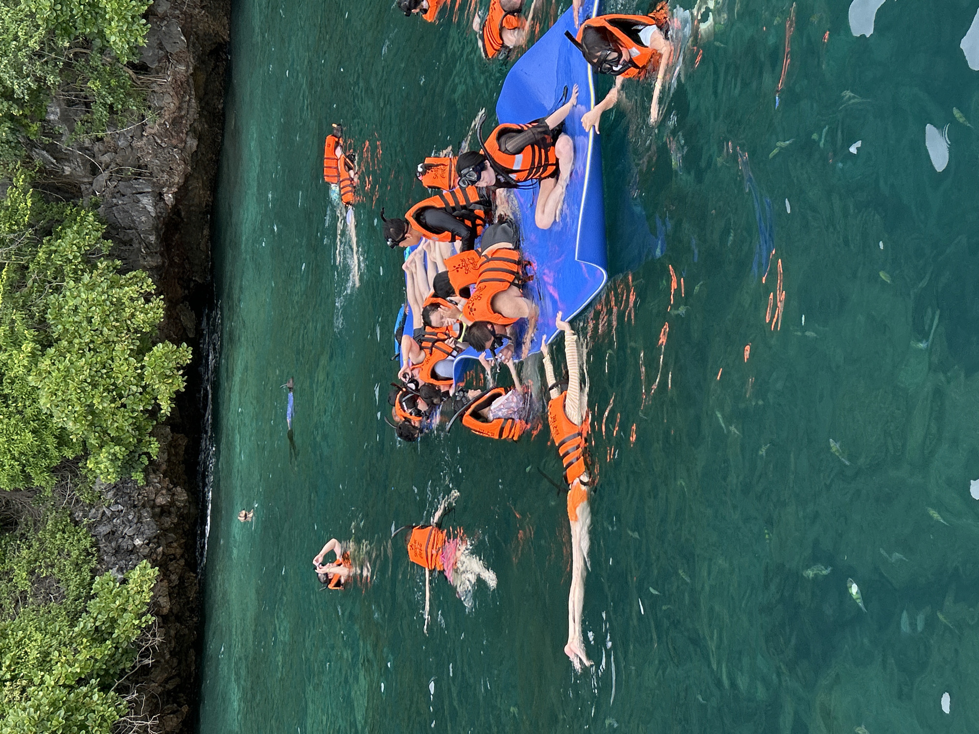 A group of tourists in Ao Nang, Thailand, are snorkeling and swimming in the emerald waters near a rocky, tree-covered cliff. Several individuals are wearing orange life vests and snorkeling gear, with some floating on a large blue raft. Others are swimming independently in the clear water, which is populated with small fish. The scene depicts a recreational activity in a tropical coastal environment.