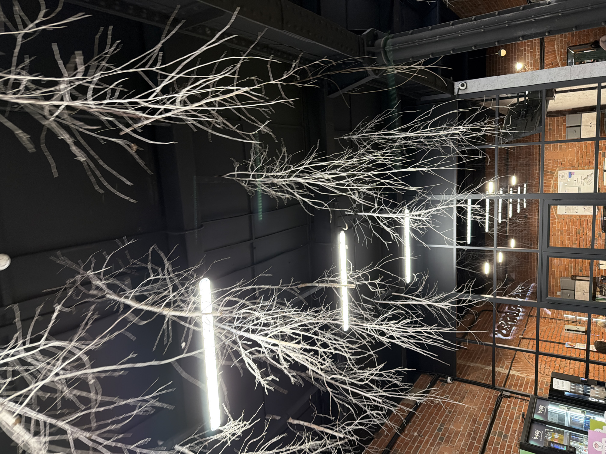 The image depicts an interior space in Moscow, Russia. The scene is viewed looking up at a ceiling with exposed industrial elements such as pipes and beams. Decorative white branches extend across the ceiling, interspersed with modern, cylindrical light fixtures. A grid of windows to the right reveals a brick wall interior and displays of products, suggesting a commercial setting, perhaps a store or cafe. The overall lighting is dim, with the light fixtures and reflections providing illumination. There are no people visible in the frame.