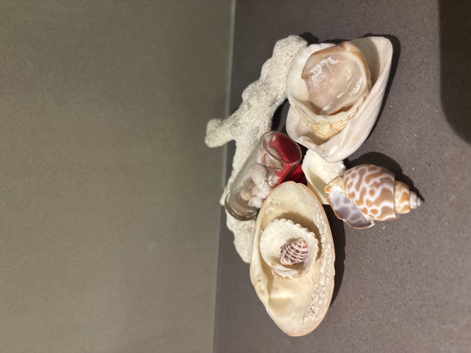 A still life arrangement of seashells and a piece of coral sits on a dark gray countertop. In the foreground, a large, light-colored clam shell is open, with a smaller striped seashell nestled inside. To the right of this, another open seashell reveals its pearly interior. A spiral seashell with a brown and white spotted pattern rests on the countertop in front of these. Behind the shells, a clear glass vial stands upright, containing small white shells and red sand. To the right of the vial, a piece of white, branched coral completes the arrangement. The background is a plain, taupe-colored wall. The lighting appears to be from above and slightly to the right, casting shadows on the countertop. There are no people or actions depicted in this image. This scene is not specific to Dubai or any other city.