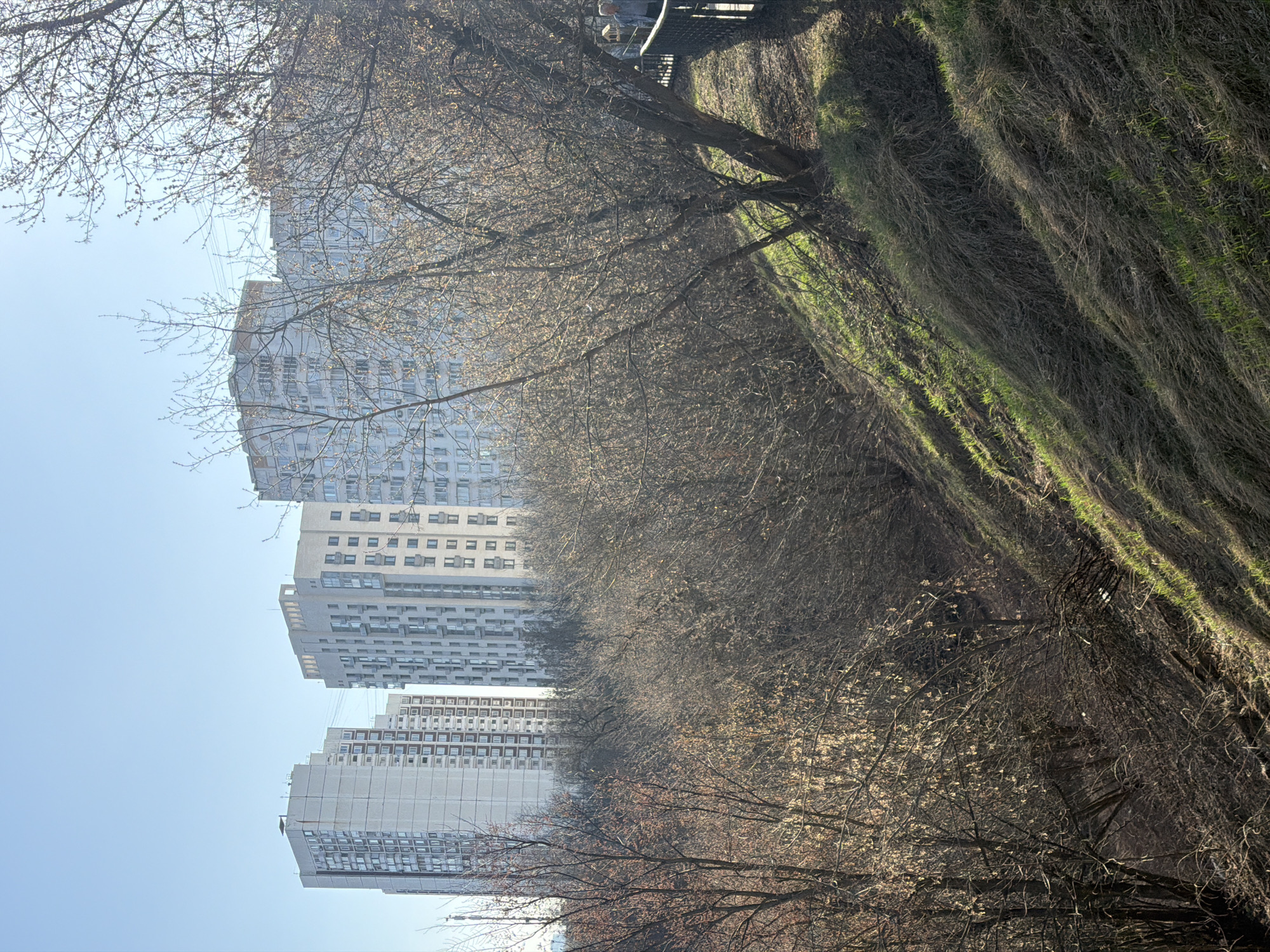 The image shows a view in Khimki, Russia, featuring several tall apartment buildings on the left side of the frame. These buildings are predominantly light-colored and exhibit a repetitive pattern of windows. In the foreground, a row of trees with bare branches partially obscures the view of the buildings. To the right, a grassy slope is visible, with vegetation appearing to be a mix of dried and green patches. The sky is clear and light blue. The image is taken from a low angle, looking upwards toward the buildings and trees.