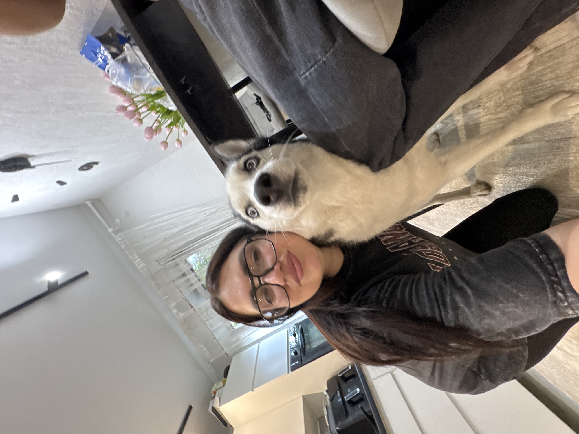 A high-angle indoor selfie captures a woman and a dog, rotated 90 degrees clockwise in the image. The woman, with long dark hair and wearing glasses, a dark t-shirt, and dark pants, is positioned in the lower right, looking towards the camera with a neutral expression. Her head is tilted slightly.
Resting its head on or near the woman's shoulder is a dog with striking blue eyes, white fur, and some dark markings around its ears and face. The dog is looking directly at the camera with an alert and curious expression. Its body extends towards the left side of the frame, partially obscured by the woman and some furniture.
The background shows an indoor setting, likely a kitchen or open-plan living area. To the woman's right, a black appliance (possibly an oven or microwave) and light-colored kitchen cabinets are visible. A black air fryer is also present. Further back, a window with white blinds allows natural light into the room. Above the dog, a bundle of pink artificial tulips sits on a surface next to a dark furniture piece, possibly a chair or table leg. The ceiling is light-colored and features a modern track lighting fixture. The flooring appears to be a light-colored wood or laminate. No discernible text is visible.