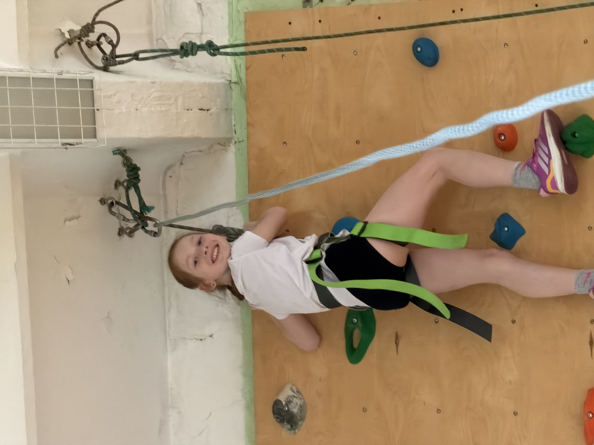 A young girl is captured in an indoor setting, actively engaged in rock climbing, possibly at a facility in Izhevsk, Russia. The image shows her in mid-action or posing on a vertical climbing wall, smiling brightly at the camera, conveying a sense of joy and enthusiasm. She wears a white short-sleeved t-shirt, black shorts, and purple and white athletic sneakers. A neon green and black climbing harness is securely fitted around her waist and legs, with a light blue safety rope attached to it.
The climbing wall is constructed from light-colored wooden panels, adorned with numerous multi-colored climbing holds. These holds are varied in shape and color, including vibrant blue, orange, green, and a mottled grey/white one, positioned to facilitate climbing. To the left of the wooden climbing wall, a textured white concrete wall is visible, showing signs of age with patches of flaking paint and some cracks. A small gridded ventilation opening is also embedded in this background wall. In the upper left corner, additional ropes and rigging equipment are fastened to the concrete wall, indicating a functional and secure climbing setup. The scene depicts a lively moment of recreational activity within a seemingly established, though perhaps not ultramodern, climbing environment. There is no visible text in the image.