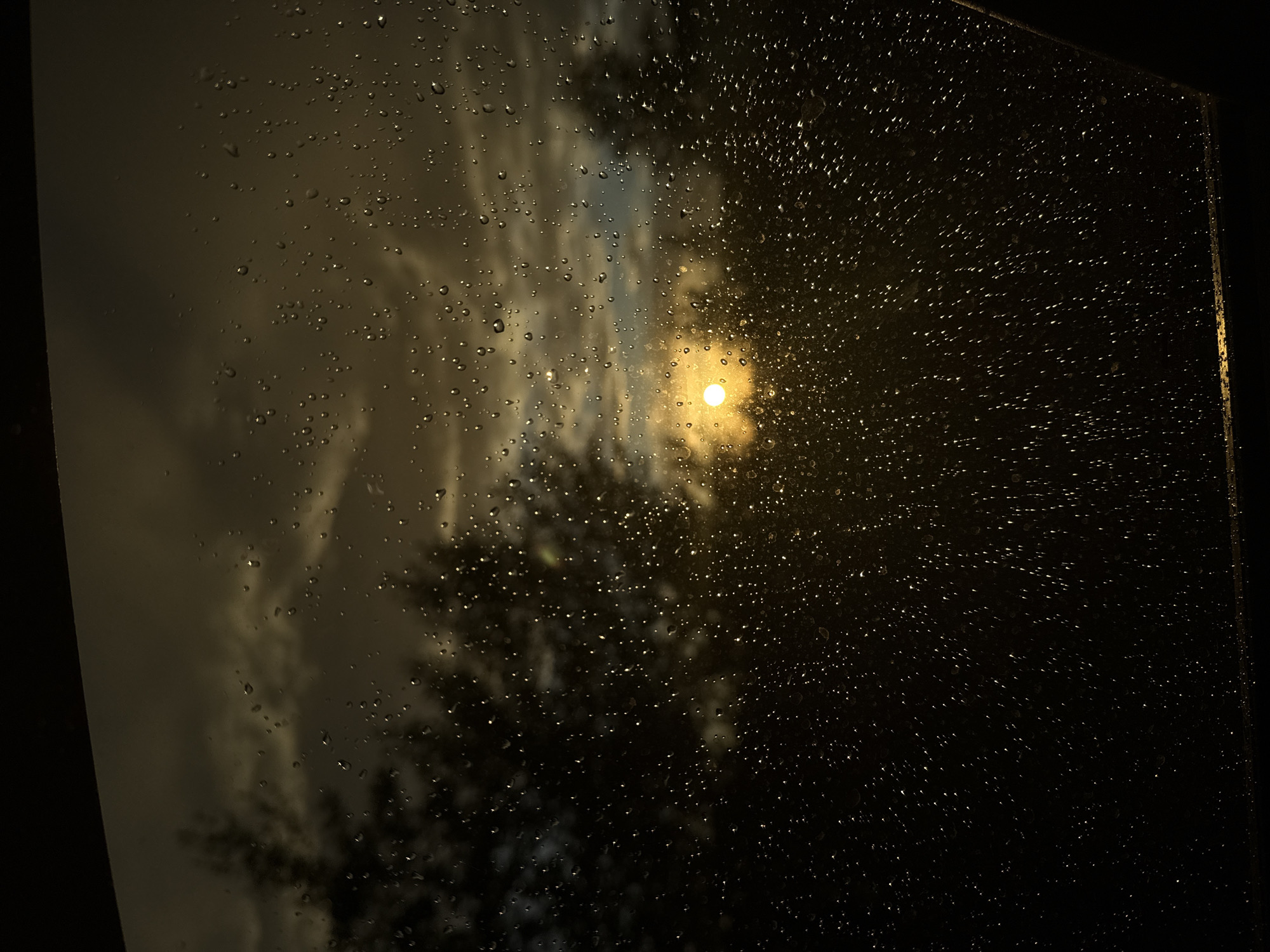 The image depicts a view through a window covered in raindrops. The background shows a dark silhouette of trees against a cloudy sky with a bright, yellow sun breaking through. The overall mood is somber, with the rain droplets distorting the light and obscuring the details of the landscape. The location is specified as Chaikovsky, Russia. There are no people or specific objects visible, only the natural elements of rain, trees, and sky.