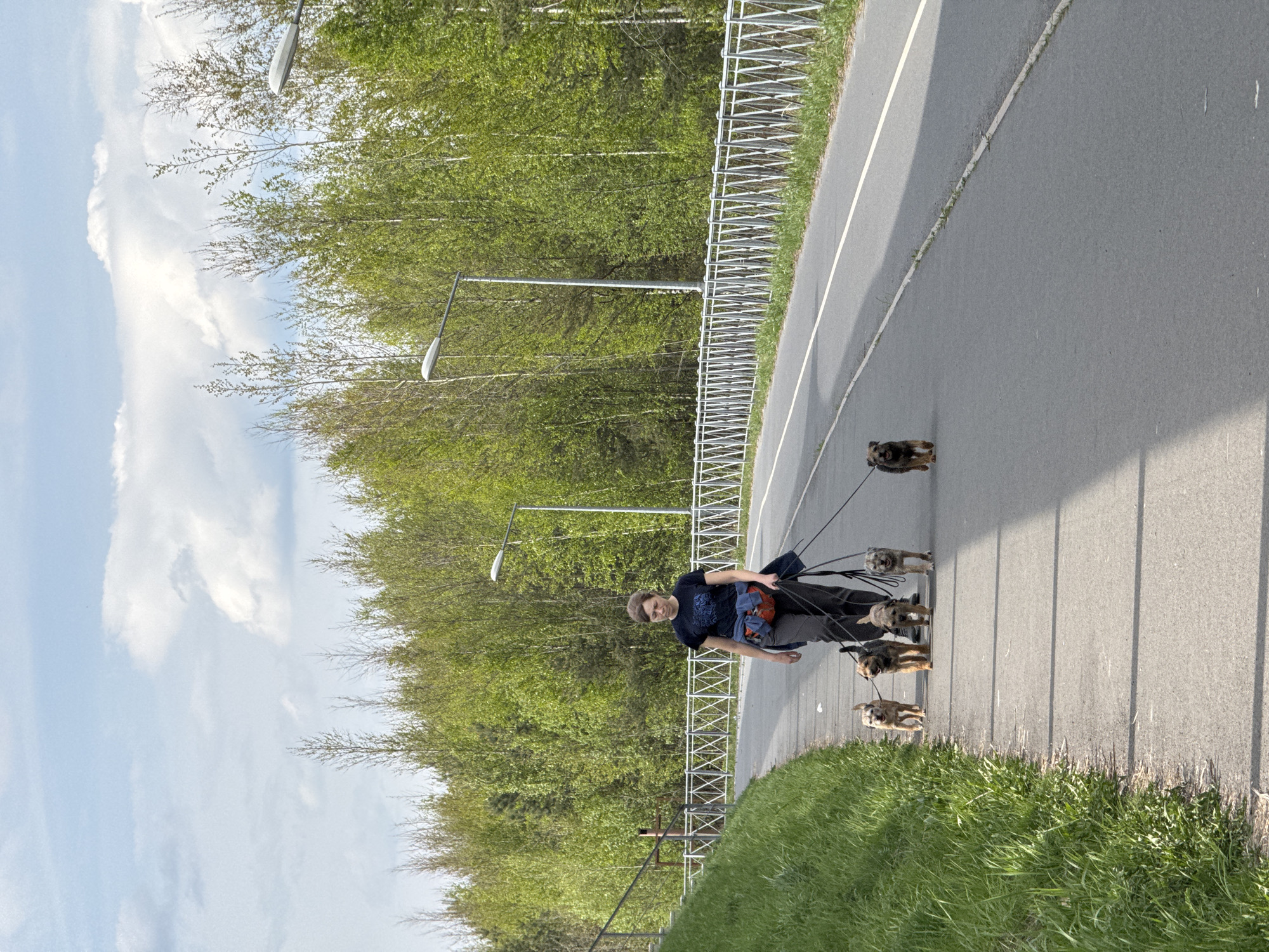 A man walks five small dogs along a paved path. The path is flanked by a metal railing and grass on one side, and trees and light posts on the other. The sky is blue with white clouds. The photo may have been taken in Saint Petersburg, Russia, given the presence of trees and light posts commonly found in the city.
