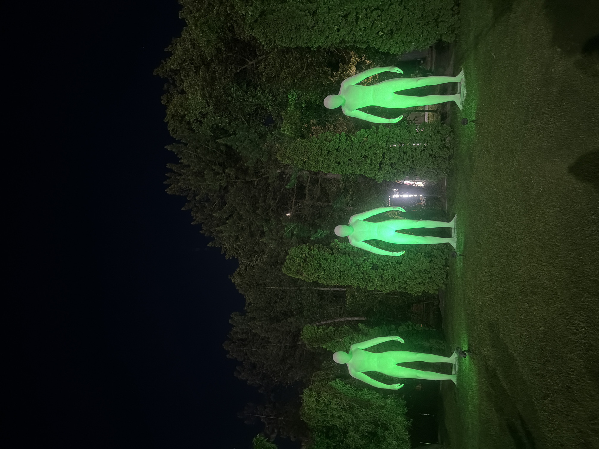 The image shows a night scene, likely taken in Rostov-on-Don, Russia, based on the location indicated. In a grassy area with trees and bushes in the background, three stylized, humanoid figures are standing. They appear to be sculptures or art installations, illuminated with a bright green light, giving them a surreal or otherworldly appearance. The left side of the image is dark, suggesting it is nighttime. The orientation of the image is rotated 90 degrees.