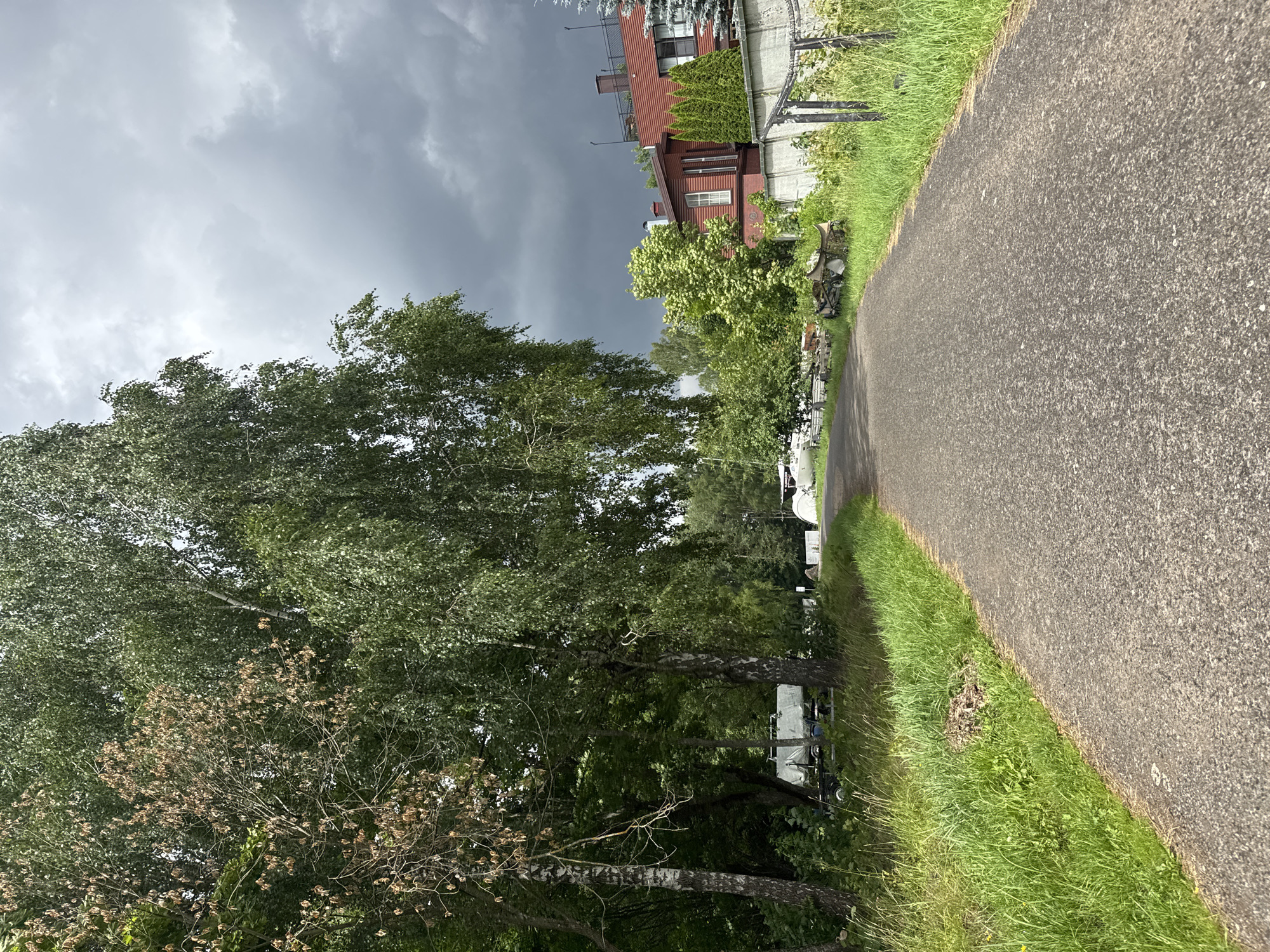 The image shows a paved road leading into a wooded area with some buildings visible in the distance. The sky is overcast and appears to be stormy. The trees on the left side of the road are lush and green, while one tree appears to be dead or dying. On the right side of the road, there is a fence and some buildings, including a red-tiled roof. There are also several boats or trailers covered with tarps parked along the side of the road. The overall scene suggests a rural or semi-rural setting, possibly near a body of water given the presence of boats.