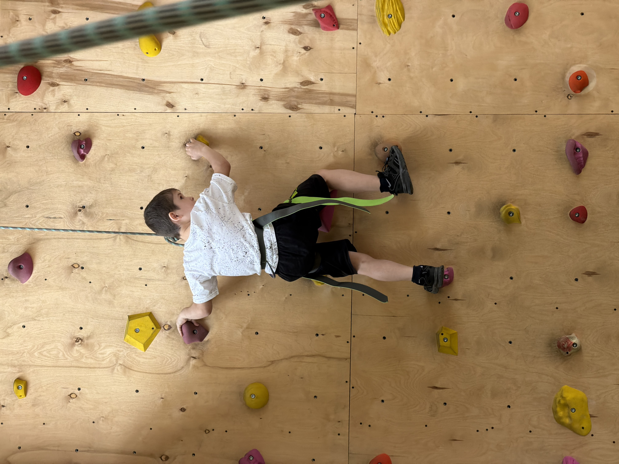 A young boy is climbing an indoor climbing wall in Izhevsk, Russia. He wears a white shirt with dark speckles, black shorts, black climbing shoes, and a climbing harness with bright green accents. He grips a purple climbing hold with his left hand and a yellow hold with his right hand. His feet are secured on a dark hold on the left and another to the right. The climbing wall is made of light-colored wood with various-sized and colored climbing holds attached. The holds are red, yellow, pink, and purple. A thick climbing rope is partially visible in the upper left corner of the frame. The background wall appears to be light plywood with black screw heads visible.