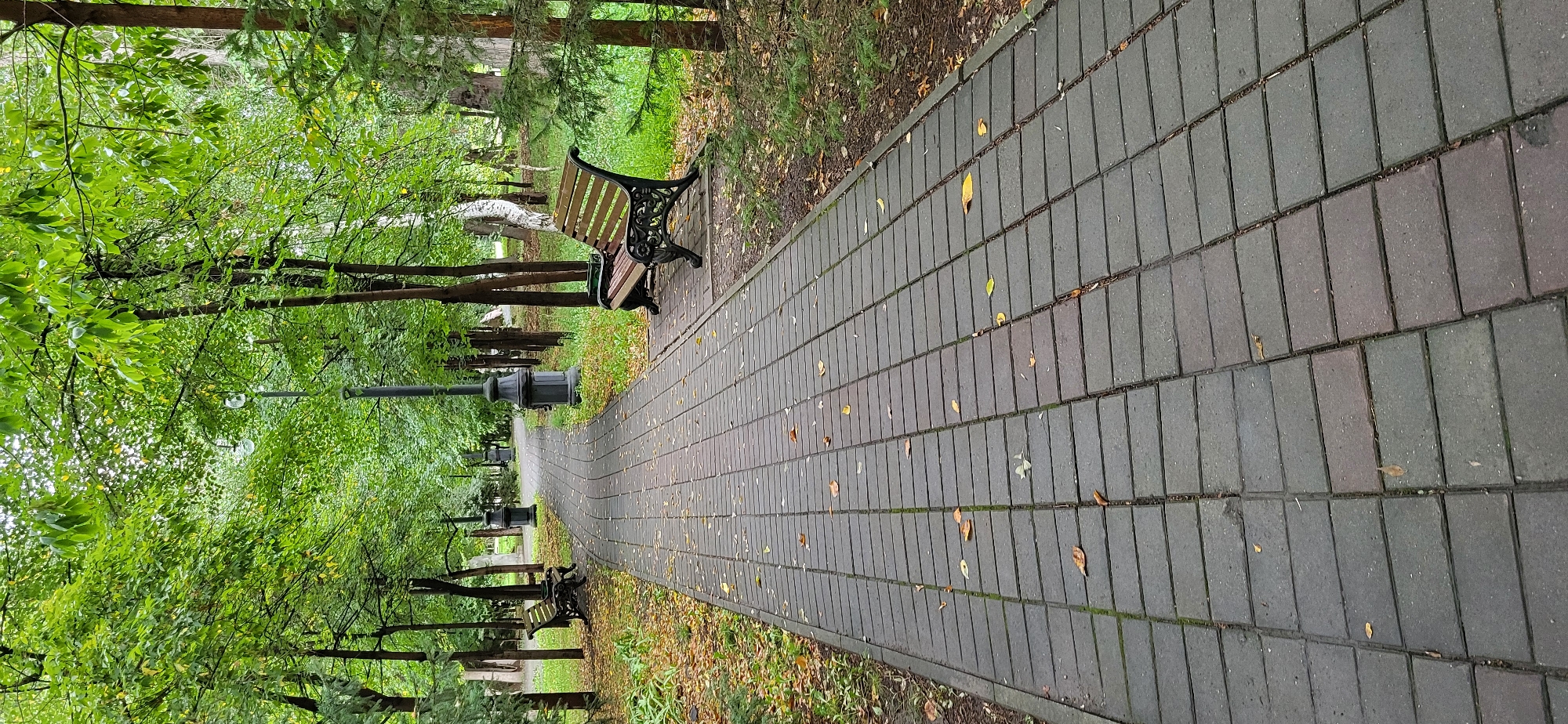 This is a vertical, eye-level, medium shot of a paved walkway in a park in Oskemen, Kazakhstan. The walkway is made of dark gray rectangular pavers and curves to the left, leading into the distance. Scattered brown and yellow leaves are visible on the walkway and the surrounding grass. Several trees with green foliage line the path on both sides. On the right side of the walkway, a dark green and brown park bench with decorative cast iron legs is positioned. Further down the path on the left, another similar bench is visible. Period street lamps with ornate bases and globe-shaped lights stand along the walkway. The overall atmosphere is peaceful and suggests a late summer or early autumn setting in a park.