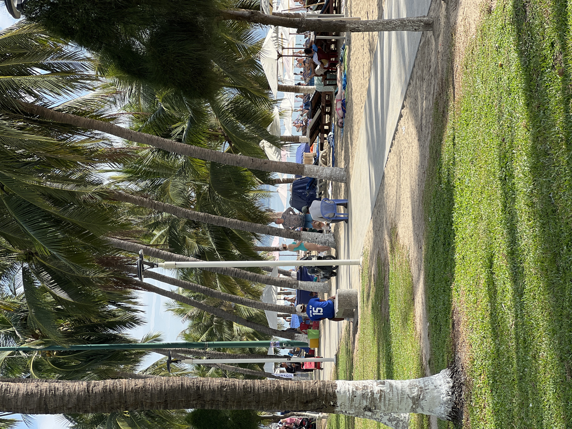 This image depicts a sunny day at a beach in Nha Trang, Vietnam, likely along a promenade. The foreground features a well-maintained grassy area with palm trees whose trunks have been painted white at the base. A paved walkway runs alongside the grass, leading to a sandy beach area.
On the walkway, a person wearing a blue shirt with the number "15" and Vietnamese text is sitting on a stone bench. Further down the walkway, another person is seated on a blue chair. Several people are walking and standing on the path.
The sandy beach is dotted with numerous beach chairs and umbrellas, indicating a popular spot for relaxation. A few individuals are visible lounging on chairs or walking near the water. In the background, the ocean and a hazy coastline can be seen. The scene is characterized by lush palm trees, abundant sunlight casting shadows, and a relaxed atmosphere typical of a beach resort.