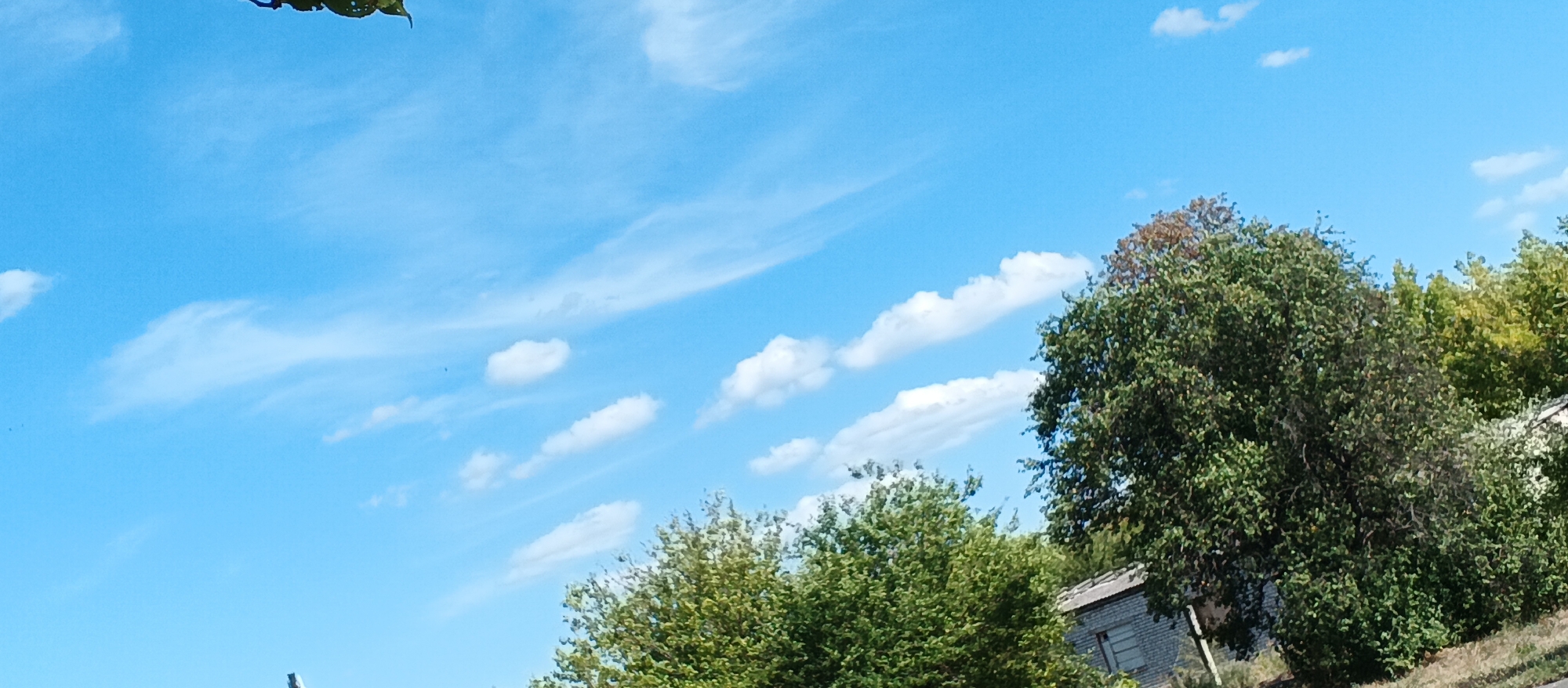 The image depicts a clear blue sky with scattered white clouds, some of which are wispy and elongated, suggesting a gentle breeze. In the foreground and right side of the frame, lush green trees with dense foliage dominate the scene. A portion of a dilapidated brick building with a weathered roof is visible between the trees on the right. A single leaf, slightly out of focus and with a darker edge, is visible at the very top left corner of the image. The overall impression is an outdoor scene, likely a rural or semi-rural setting, under fair weather conditions. The location is identified as Smila, Ukraine.