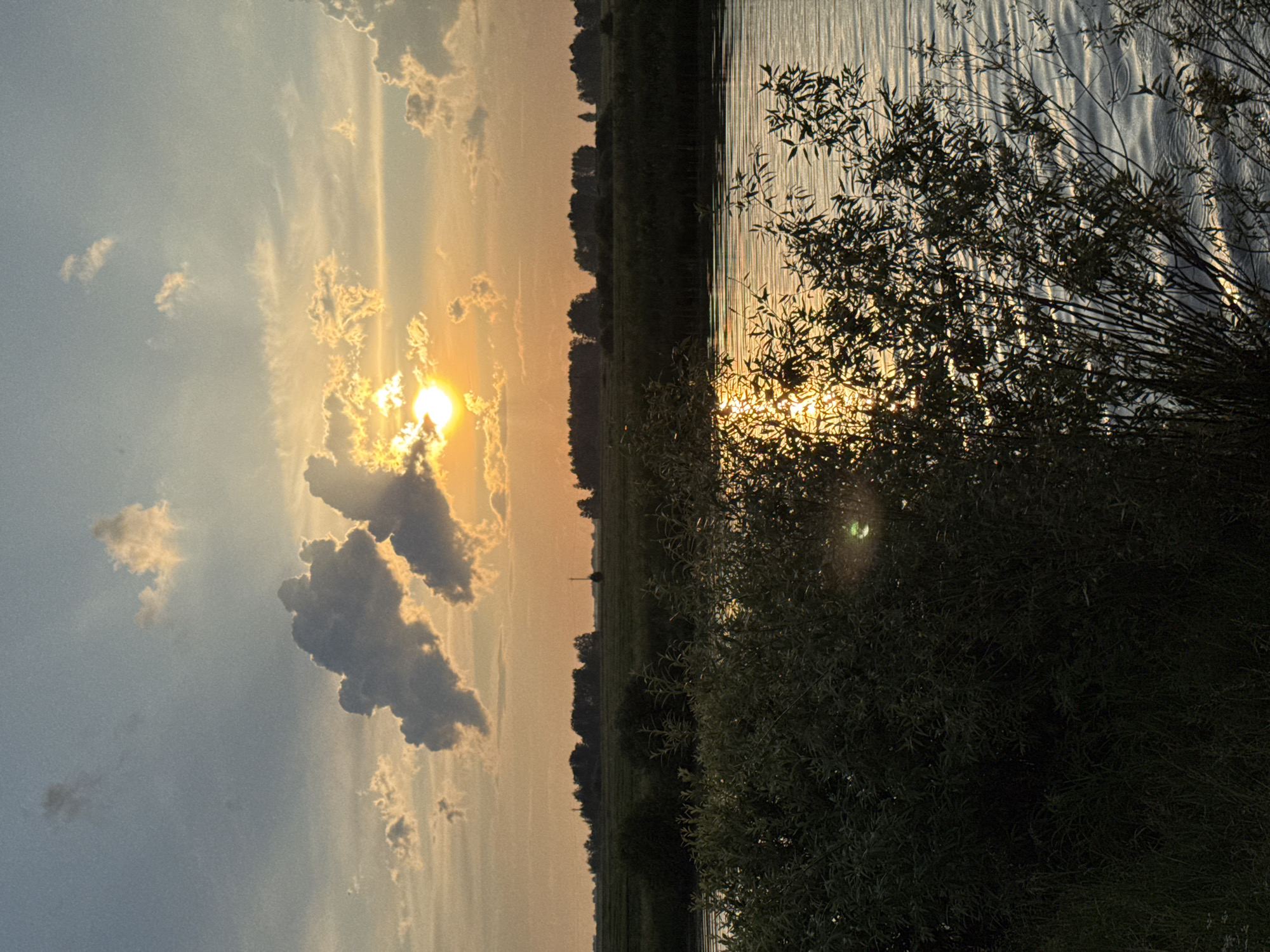 The image depicts a scenic natural landscape at sunset. The primary subjects are the sky, clouds, a body of water, and vegetation. The sun is setting, casting a warm, golden light across the sky, which is partially filled with scattered clouds, some dark and dramatic, others wispy and illuminated by the sun's rays.
A body of water, likely a river or lake, occupies the right side of the frame, its surface rippled and reflecting the warm colors of the sunset. On the left side, a line of trees or a dense treeline forms the horizon, separating the sky from a field or meadow. In the foreground, on the right, is a large mass of dark green foliage, appearing to be bushes or trees, with some branches extending into the frame.
The time of day is clearly sunset, indicated by the low position of the sun and the quality of light. The weather appears calm, with soft clouds and still water. The location cues, combined with the provided context, suggest a rural setting in Бигила, Russia. There is a subtle emotional tone of tranquility and natural beauty conveyed by the scene. No text is visible in the image.