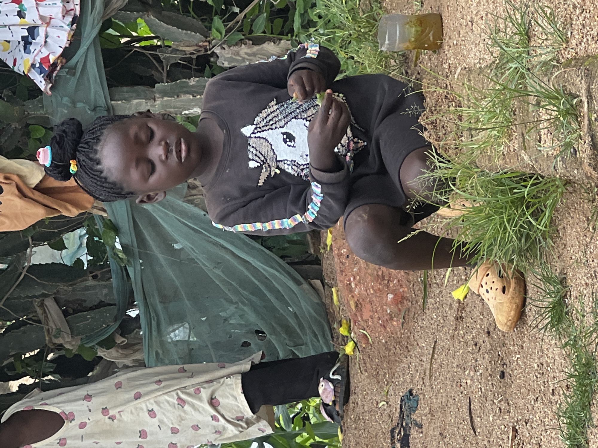 A young Black girl with dark skin and braided hair pulled up into a bun with a small pink and blue hair accessory sits on the ground in what appears to be an outdoor, somewhat rustic environment, possibly in Jos, Nigeria. She is wearing a dark long-sleeved shirt with a sequined unicorn design on the front and a pair of dark shorts. Her eyes are closed and her mouth is slightly open. She is holding a small green object in her hands, examining it. Her hair is styled into neat braids, with a few colorful accents.
To her left, a person wearing a light-colored dress with a strawberry pattern and black pants stands partially visible, facing away from the camera. Their feet are adorned with light brown Crocs-style sandals with a pink, round charm on the left one.
The ground is covered in reddish-brown dirt and small pebbles. Green grass and some yellow leaves are scattered around. Behind the girl, there is a rustic structure or fence made of wood and covered in a green mesh net, with some plants and fabrics draped on it. To the right of the girl, a clear plastic cup containing a yellowish liquid is visible on the ground. The overall impression is a snapshot of everyday life in an outdoor setting, with a focus on the child's interaction with her immediate surroundings.