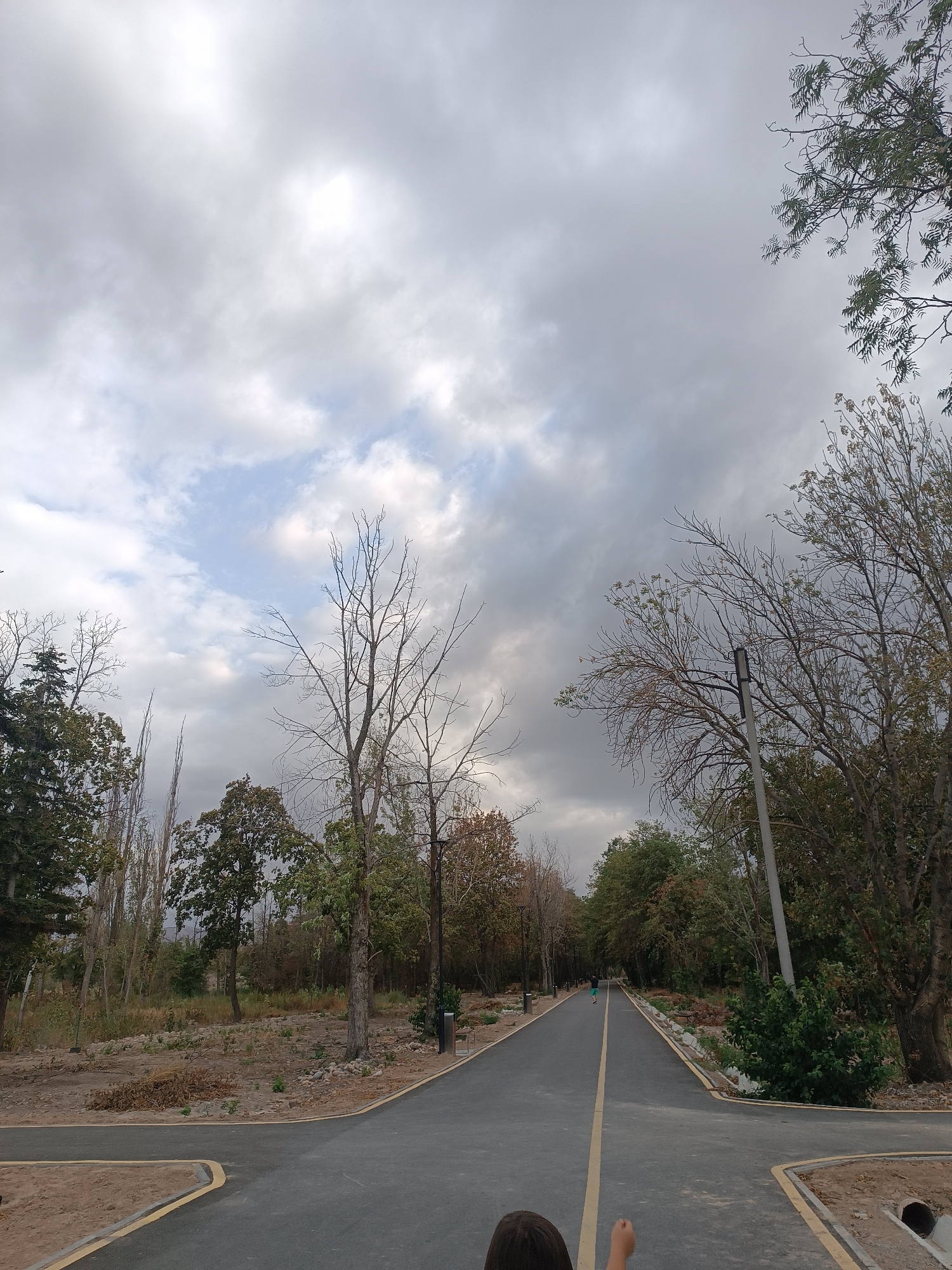 A paved pathway with a yellow center line extends into the distance, flanked by trees on either side. The pathway appears to be in a park or recreational area. In the foreground, the tops of two individuals' heads are visible, suggesting they are sitting or standing in the immediate foreground. One person has their arm raised. In the mid-ground, a single person is walking or jogging away from the camera on the pathway. The environment is characterized by a mix of deciduous trees, some of which are bare or have sparse foliage, indicating it may be autumn or early spring. The sky is overcast with dramatic clouds. The ground near the pathway is a mix of dirt, gravel, and some sparse vegetation. This scene is consistent with the Ala-Too Park in Bishkek, Kyrgyzstan, known for its pathways and green spaces.
