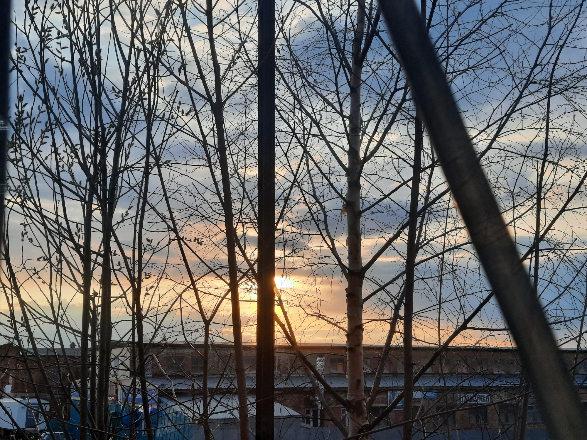 The image presents a view of a sunset or sunrise over an urban or industrial landscape in Krasnogorskoye, Russia, seen through a dense network of bare tree branches. The sky in the background displays a blend of pale blue and warm orange-pink hues, indicating either dawn or dusk. The sun, a bright and intense light source, is visible towards the center-right, partially obscured by a dark, vertical beam or tree trunk.
In the foreground, numerous leafless tree branches crisscross the frame, forming intricate dark silhouettes. Many of these branches, particularly on the left side of the image, feature small, developing buds, suggesting the season is late winter or early spring. A prominent, dark, vertical utility pole or structural element stands centrally, extending from the bottom to the top of the frame. Another thick, diagonal branch or structure is noticeable on the far right.
Below the treeline, in the mid-ground, several low-rise buildings with brick walls and flat or low-pitched roofs are visible, hinting at an industrial or commercial setting. On the facade of one of these buildings, faint Russian text is discernible, reading "ПРОДАЕТСЯ" (FOR SALE). No people or specific activities are depicted, giving the scene a quiet, contemplative atmosphere. The vibrant sky contrasting with the dark, stark silhouettes of the trees and buildings creates a striking visual composition.