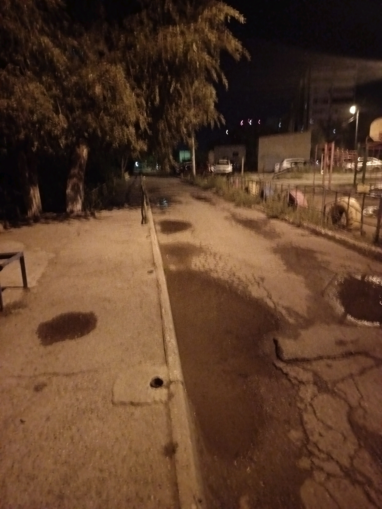 The image depicts a dimly lit, outdoor scene, likely at night, featuring a concrete walkway on the left and a wet, asphalt road on the right. Several puddles of water are visible on the road. Trees with dense foliage are present on the left side of the walkway. In the background, there are buildings and streetlights. A basketball hoop is also visible in the distance. The overall impression is one of an urban environment after rain.