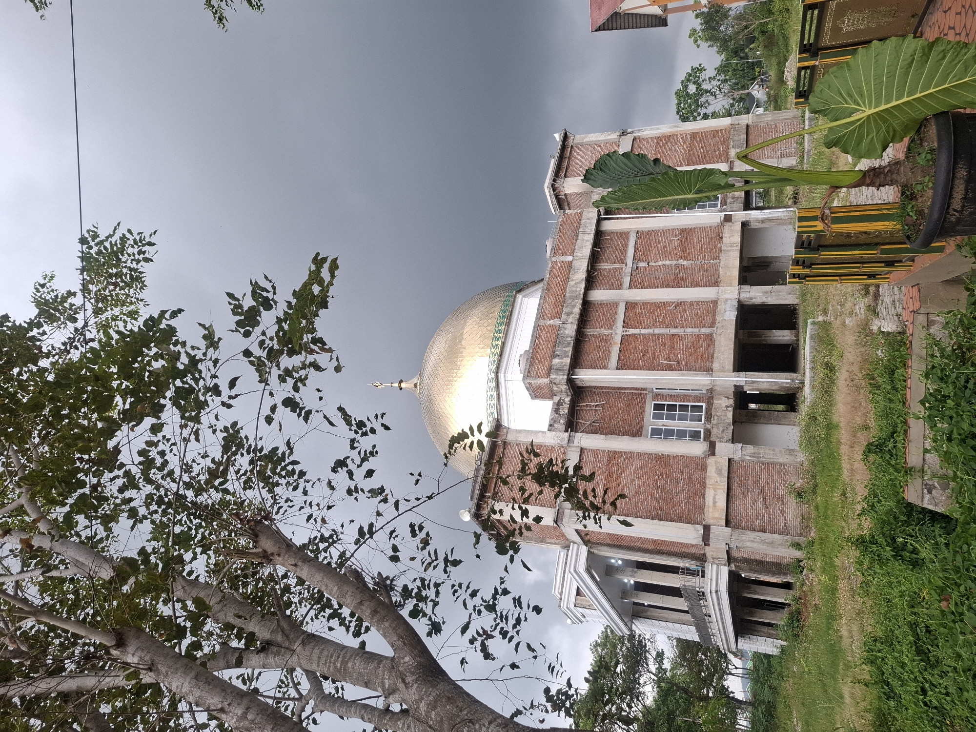 In Meureudu, Indonesia, an unfinished brick building with a prominent golden dome stands against a dark, overcast sky. The building features exposed concrete pillars and brickwork, with several windows visible. In the foreground, a large potted plant with broad, green leaves sits next to a decorative fence. Trees and overgrown vegetation surround the structure, suggesting an area undergoing development or with a natural landscape. The scene appears to be a mosque under construction.