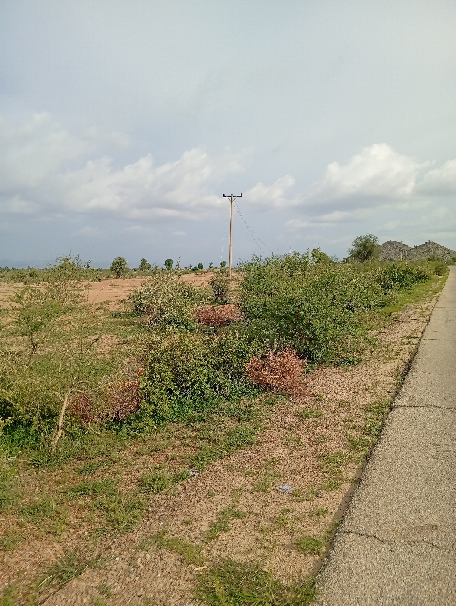 The image depicts a rural scene with a paved road on the right side, bordered by dry, sandy terrain with sparse vegetation. In the middle ground, there are clusters of green bushes and some dried branches. A power pole stands in the left-center of the frame. In the background, hills are visible under a cloudy sky. This scene is located in Shuwa, Nigeria.