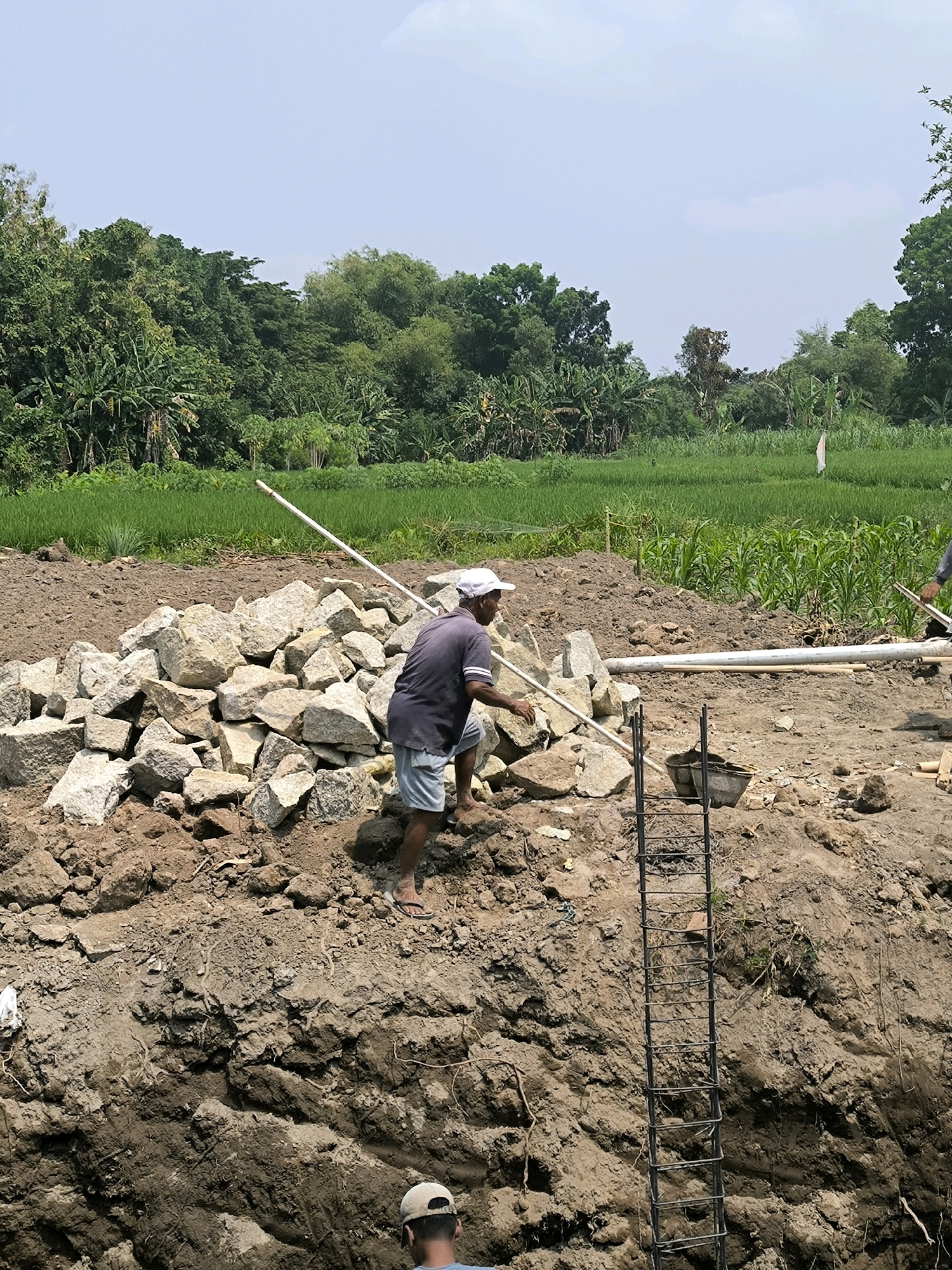 In an outdoor scene, a man wearing a white cap, dark gray t-shirt, and light blue shorts is actively engaged in construction work. He is positioned on a mound of brown dirt, amidst a pile of large, light-colored rocks. He is holding a long white pole, leaning into it as if bracing himself or using it as a lever. The surrounding environment features lush green foliage and crops under a bright, hazy sky. A metal ladder is visible descending into a dirt pit in the foreground, with two buckets near its top. Another person, wearing a light-colored cap, is partially visible at the bottom of the frame, looking down into the pit. The overall impression is one of manual labor in a rural or semi-rural setting.