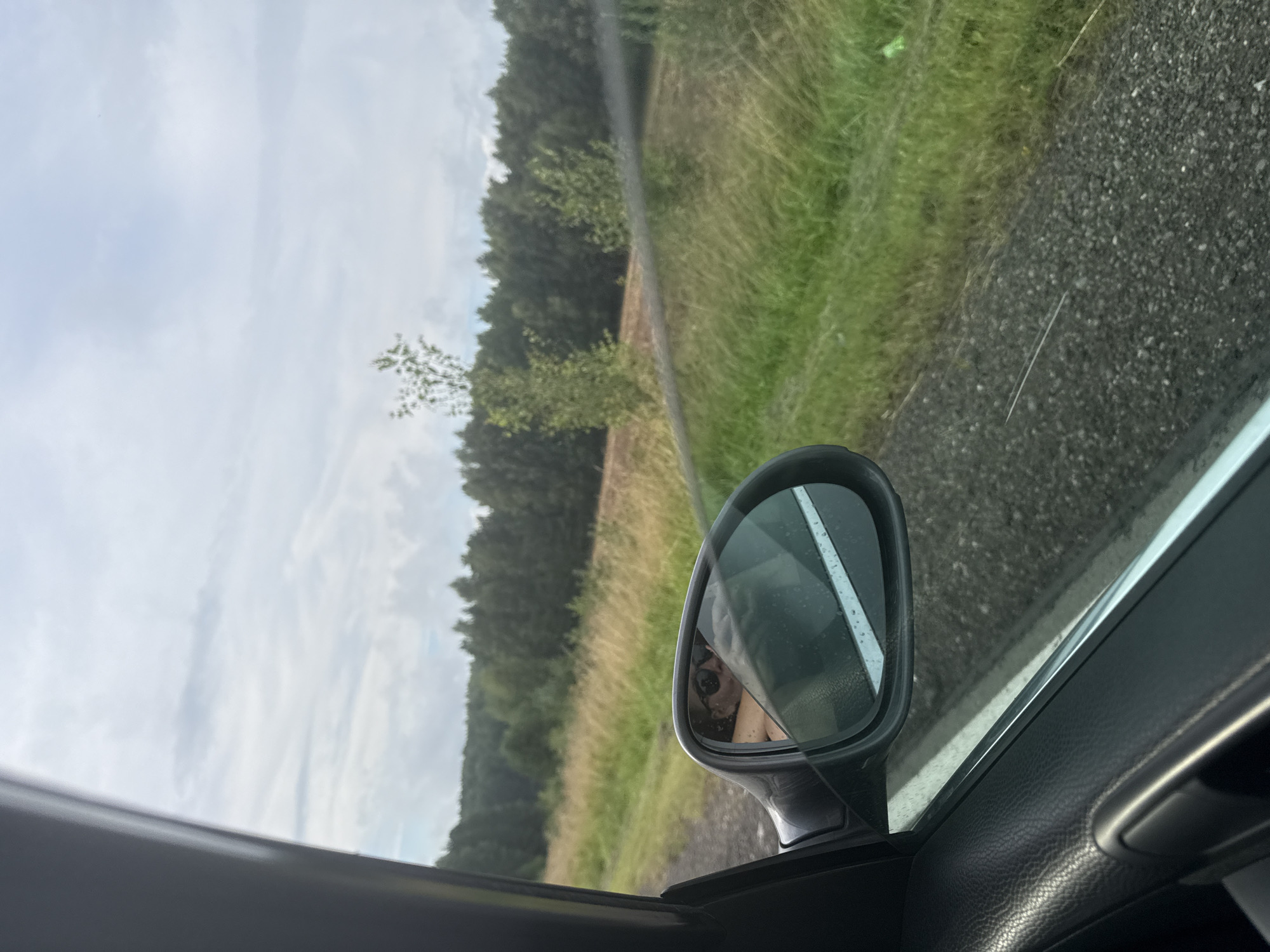 The image captures a view from inside a car, looking out the passenger side window. The primary focus is on the side mirror, which reflects a person wearing sunglasses and a light-colored top. Beyond the mirror, a rural landscape unfolds, characterized by a gravel road on the left, transitioning into dry, tall grass. Further into the background, a dense line of dark green trees forms a forest, and beyond that, a hazy sky with scattered clouds is visible. The car's interior, including the black leather door panel and window frame, is partially visible in the foreground. There is no specific indication of the city of Nylga, Russia in the image.