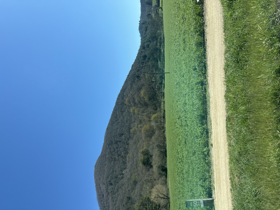 This image displays a rural landscape in La Vall d'en Bas, Spain, under a clear, bright blue sky. A large mountain, densely covered with deciduous trees in various stages of spring foliage (some bare, some showing new green leaves), occupies the background. Below the mountain, an expansive, vibrant green field stretches across the middle ground. A slender, dark utility pole stands vertically within this green field, positioned slightly right of the image center. A light-colored, unpaved dirt or gravel path runs horizontally across the lower middle section of the image, separating the cultivated field from a strip of taller, unkempt green grass in the immediate foreground. On the far left, situated next to the path, a vertical white and green signpost displays the text "KM 50" and "68 m". No individuals, animals, or explicit activities are present in the scene.