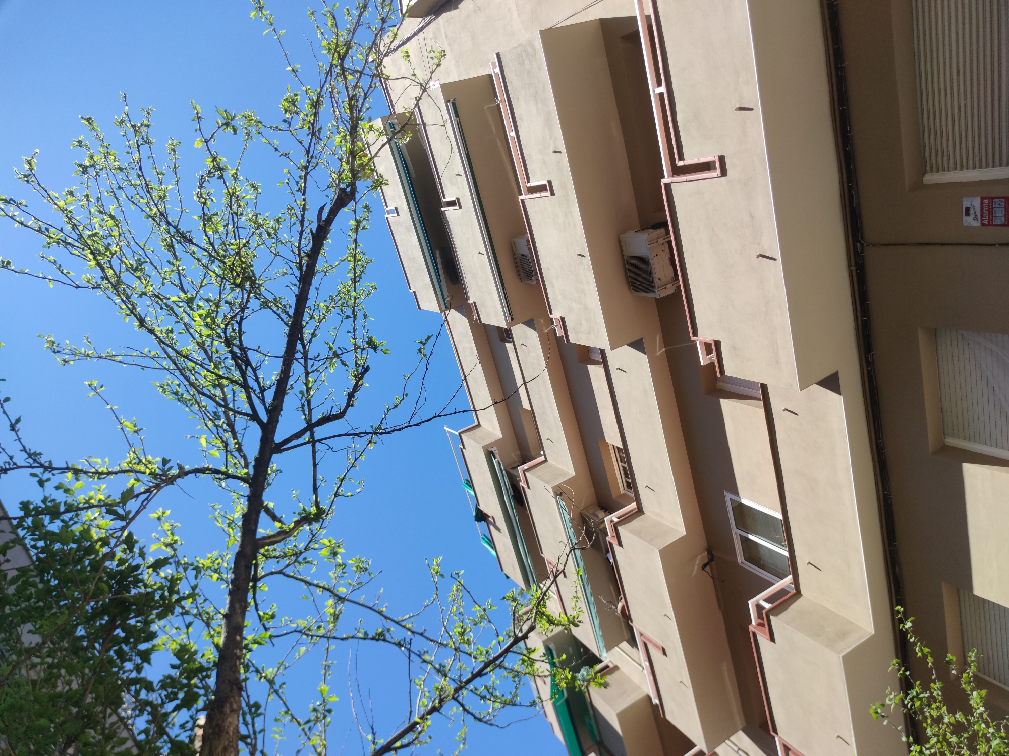 The image shows a multi-story building with balconies under a clear blue sky. The building is light brown and has red accents around the balconies and windows. There are air conditioning units attached to the building. A tree with budding leaves stands to the left of the building, partially obscuring the view. The location is unknown.