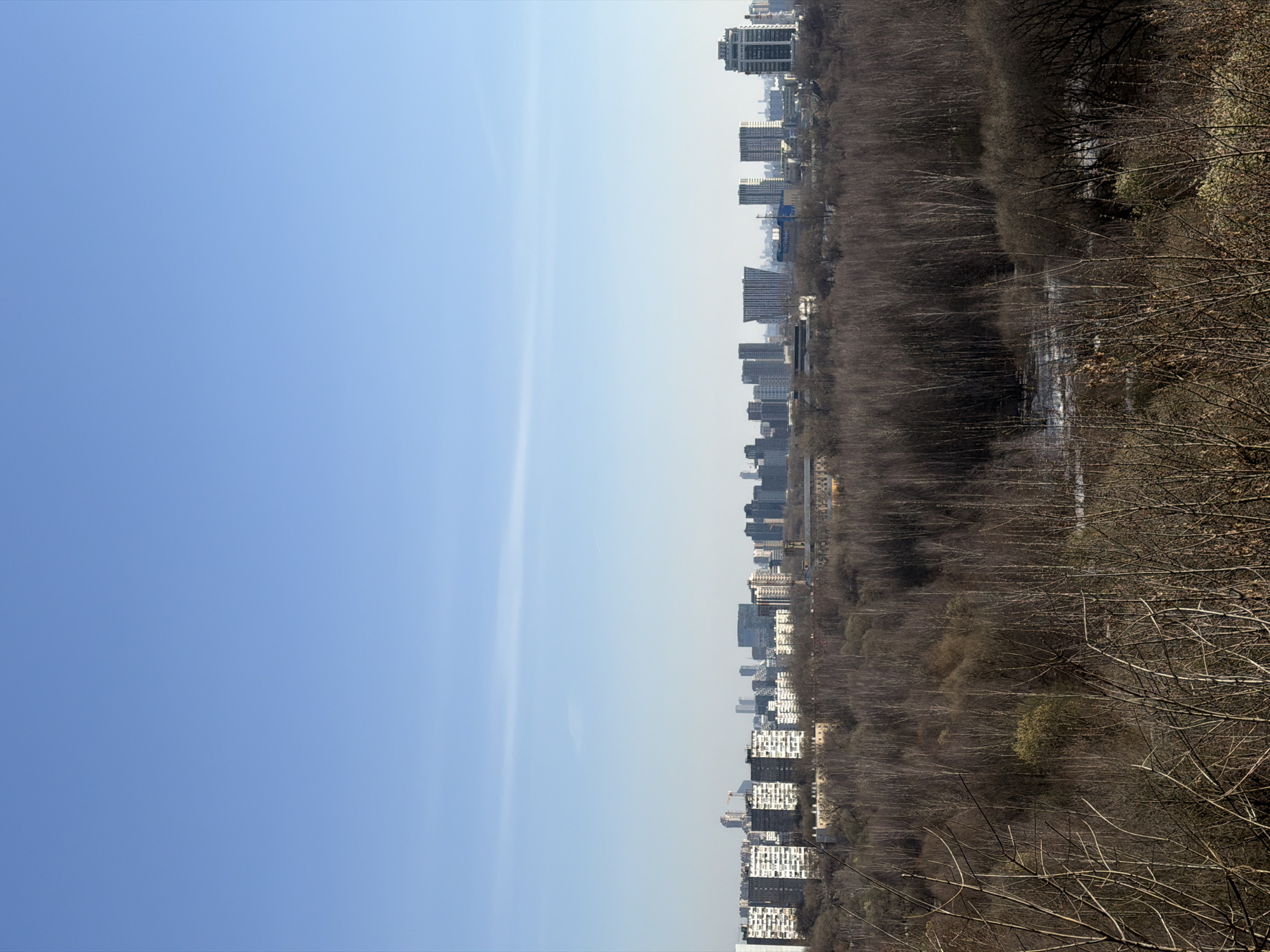 The image depicts a view of the city of Khimki, Russia, bisected vertically. The left side shows a clear blue sky. The right side features a row of buildings fading into a forest. A body of water cuts through the trees. The image is taken from a high vantage point, likely an elevated position overlooking the city. The trees are bare, indicating it is either late autumn or winter.