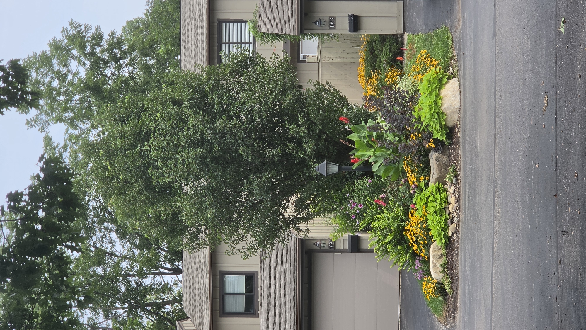 The image depicts a lushly planted garden bed in front of two attached houses in Elgin, Illinois, United States of America. The garden bed is a vibrant display of various flowering plants, including bright yellow coneflowers, pink hibiscus, and tall red canna lilies, with a backdrop of dark green foliage. Large rocks are integrated into the landscaping, adding a natural element. A black lamp post stands centrally within the garden. The houses are clad in a neutral-colored siding with brown trim around the windows and garage doors. One garage door is prominently visible on the left side of the image, labeled with the number "1095." A mailbox and exterior light fixture are visible on the right side, near the entrance to the second house, labeled "1093." Mature trees with dense green canopies arch over the scene, suggesting a well-established residential area. The pavement in the foreground is a dark asphalt, showing some signs of wear and scattered leaves. The sky is overcast, contributing to a soft, diffused light. There are no people visible in the image.
