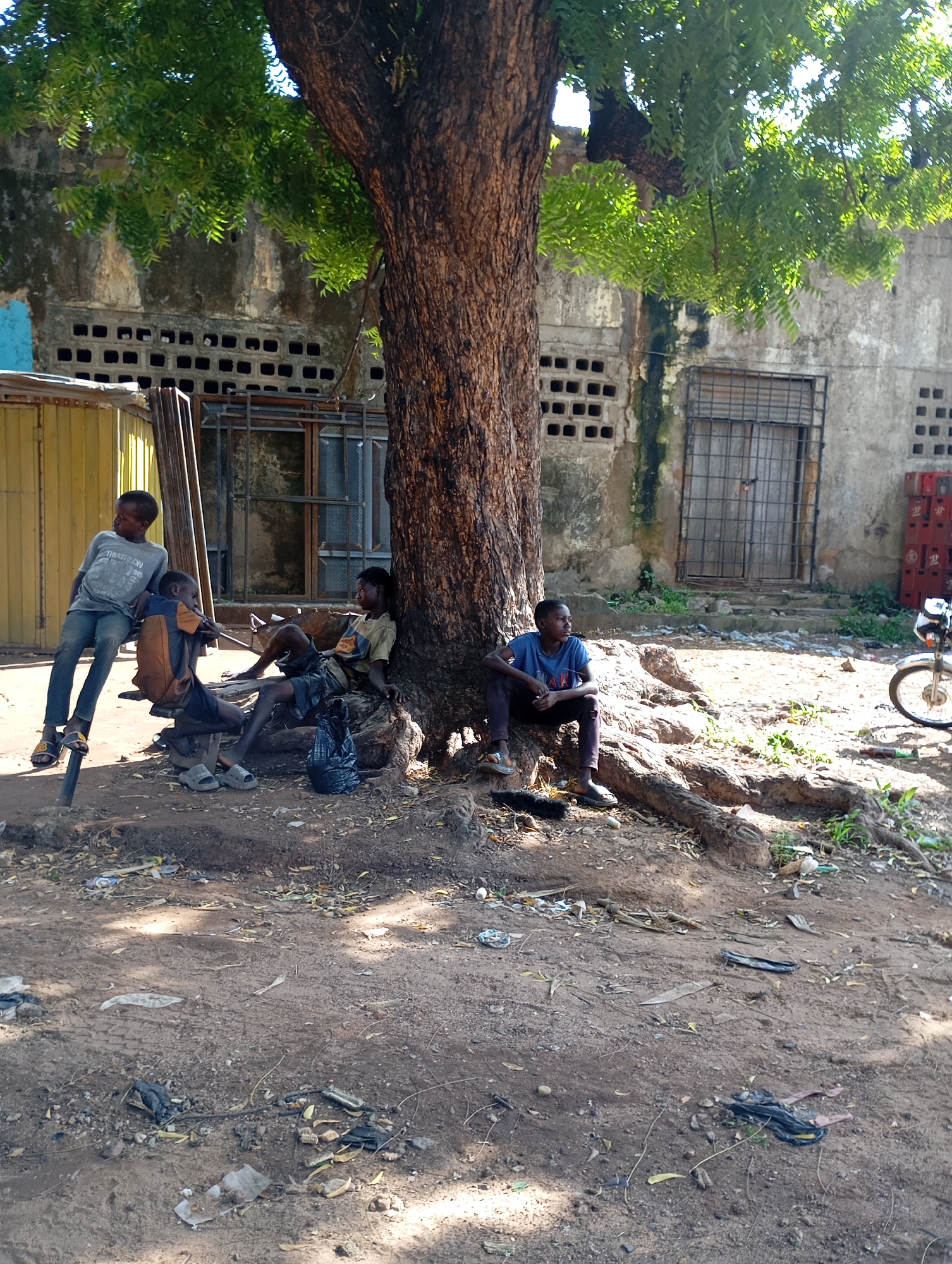 Four young boys are seated in the shade of a large tree on a dirt ground in front of a building. The building has a rough, textured concrete exterior with a series of small, rectangular openings arranged horizontally. To the left of the building, a yellow metal structure with a corrugated roof is visible. A few metal bars are also present, some leaning against the yellow structure.
The boys are dressed in casual clothing. One boy on the far left is wearing a grey t-shirt and blue jeans. He is seated on a vertical metal pole, with his left leg bent and his right leg hanging down. Another boy, to his right, is wearing an orange and black vest over a light-colored t-shirt, with dark shorts. He is sitting on a wooden plank supported by a block. A third boy, wearing a light-colored t-shirt with a graphic and dark shorts, is sitting on the ground to the right of the second boy, leaning against the tree. The fourth boy, on the far right, is wearing a blue t-shirt and dark pants. He is sitting on the ground, leaning against the tree roots, facing away from the camera.
In the foreground, the ground is covered with dirt, scattered leaves, and debris, including plastic bags and some discarded items. To the right of the building, several red crates are stacked, and a motorcycle is parked. The scene appears to be an outdoor area in a somewhat dilapidated urban environment. The presence of the building with its openings, the metal structure, and the stacked crates suggest a possibly commercial or storage area. The overall atmosphere is one of a warm, sunny day, with the tree providing ample shade. The location is identified as Shendam, Nigeria.