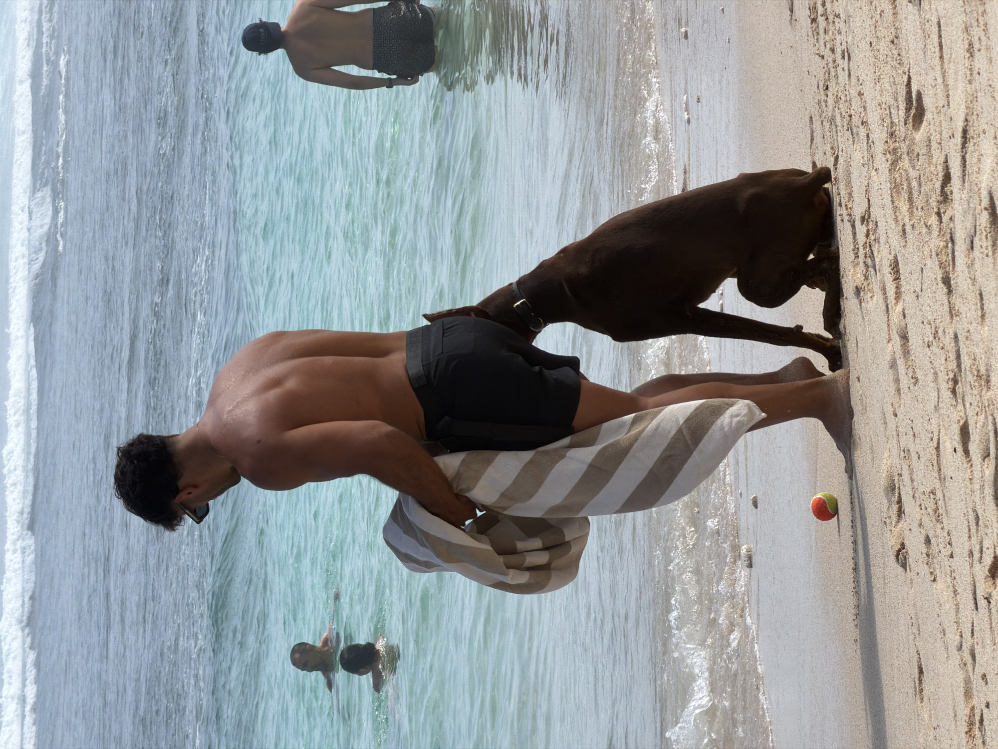 In the city of Unknown, Unknown, a man with tanned skin and dark hair is standing on a sandy beach, holding a striped towel. He is wearing black swim shorts. A dark brown dog with a collar is sitting in front of him, its head lowered. In the background, the ocean has clear turquoise water with white waves breaking on the shore. Two other people are visible in the water. On the sand near the man's feet is a small orange and yellow ball. The beach is composed of light brown sand with some visible footprints. The sky is bright and overcast.