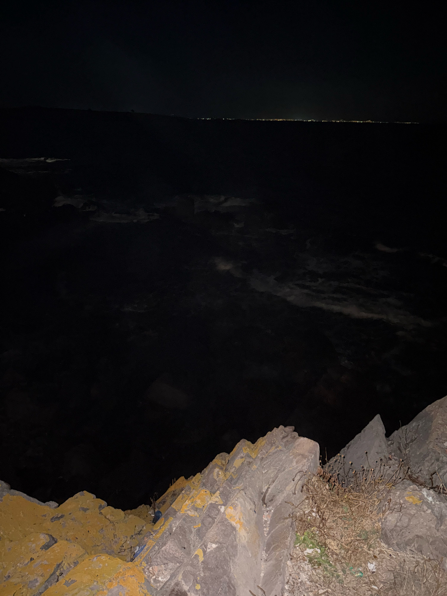 The image depicts a nighttime scene overlooking a dark body of water, likely the sea, with a distant, faint line of lights suggesting a coastal town or city. The foreground is dominated by rugged, textured rocks, some with patches of yellowish lichen. A sparse cluster of dry, brown vegetation grows amongst the rocks. The water surface shows subtle disturbances, hinting at waves or currents. The overall impression is one of a rugged, natural coastline at night, with evidence of human presence only in the distant lights. The location is identified as being in Sozopol, Bulgaria.