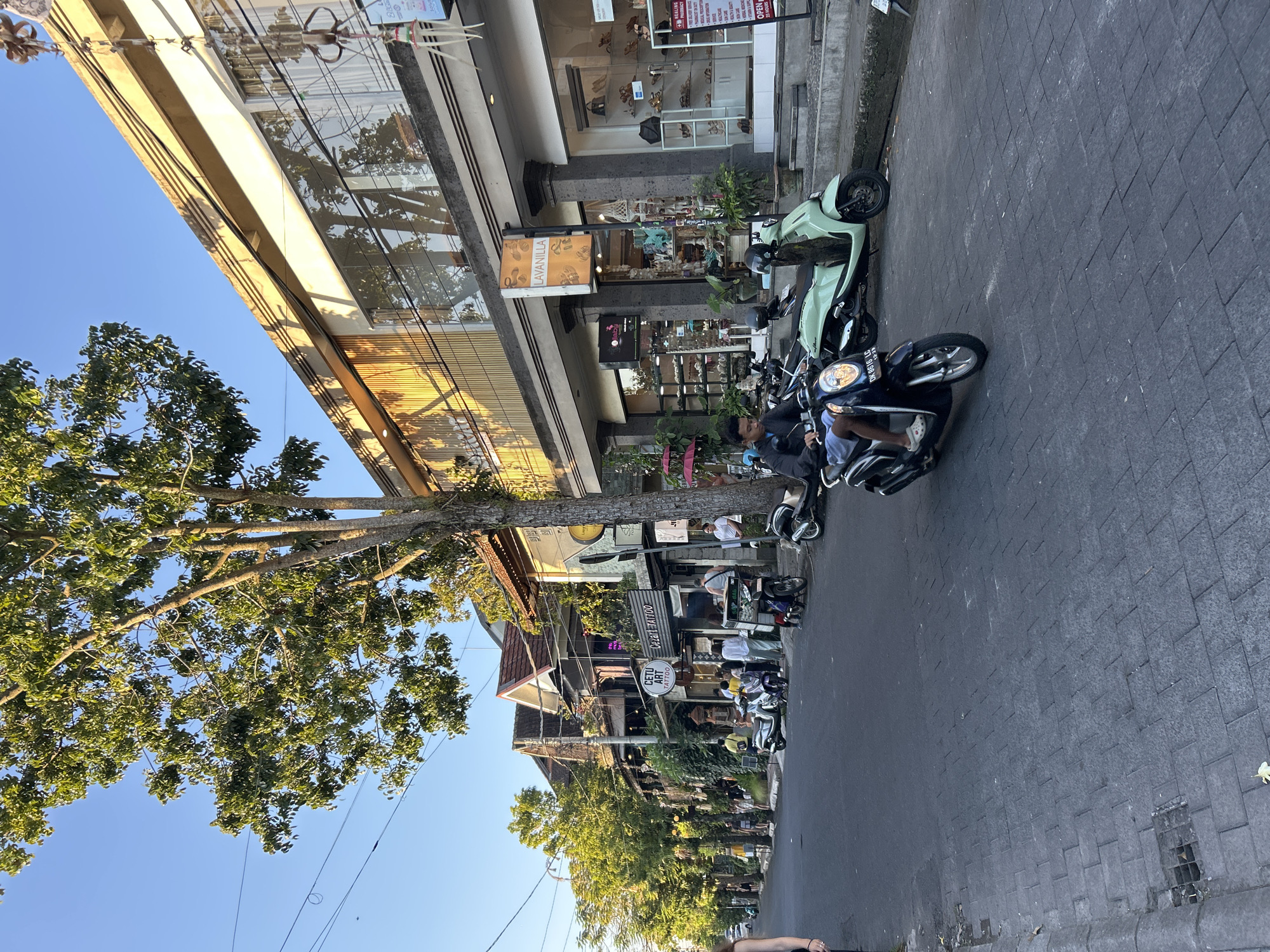 A street scene in Ubud, Indonesia, depicts a paved street lined with shops. The shops feature large glass windows displaying merchandise and signs like "LAVANILLA," "CETU ART TATTOO," and "HEALING PHARMACY." Several people are visible walking on the sidewalk and interacting with each other. Motor scooters are parked along the street, and one scooter is in motion, ridden by a young person. A mature tree with lush green foliage grows prominently on the right side of the street, casting shadows. The sky is clear and blue, indicating daylight. The architecture of the buildings suggests a tropical urban environment.