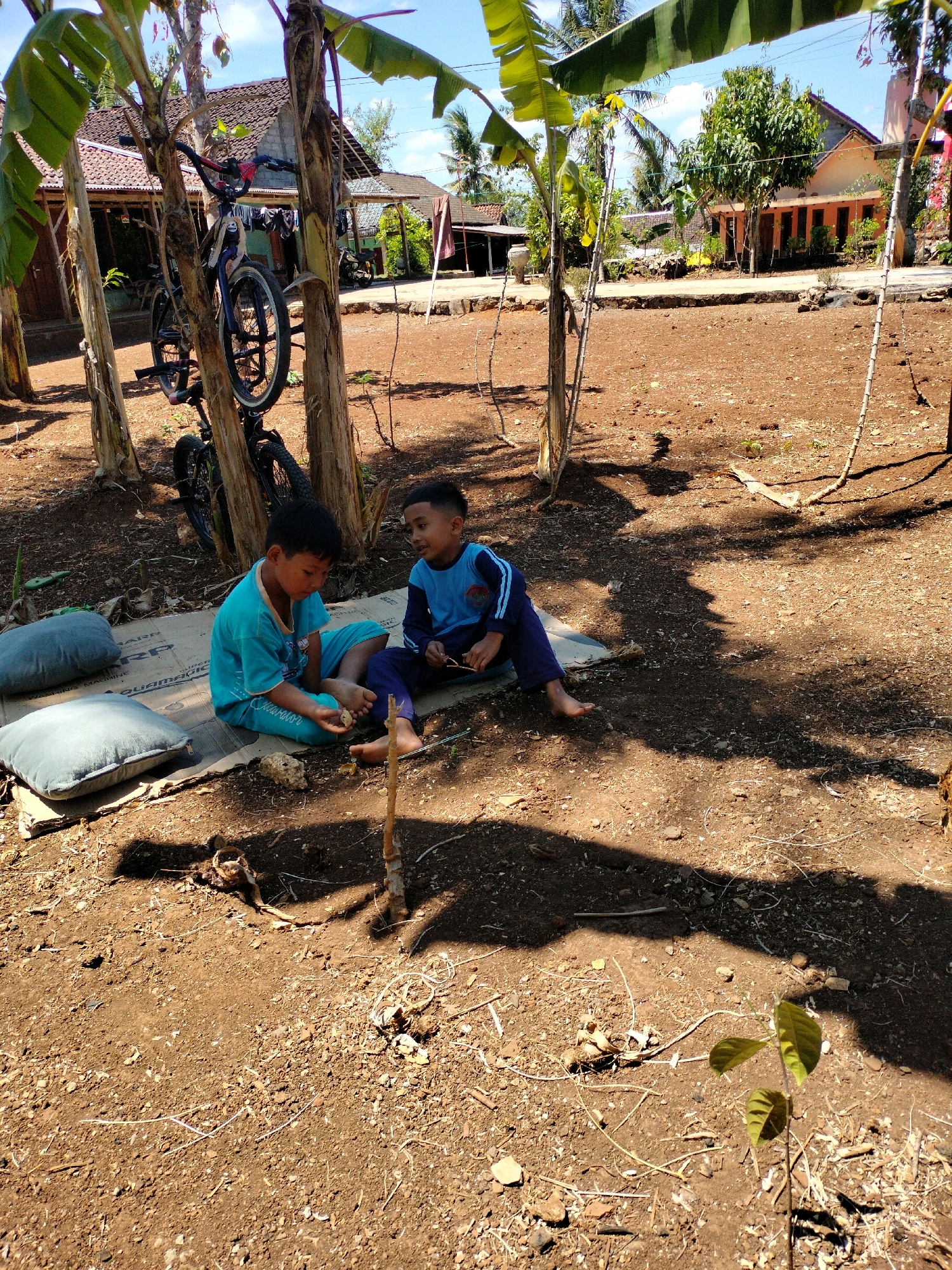 The image depicts an outdoor scene in Karangmojo, Indonesia, characterized by dry, reddish-brown earth and sparse vegetation. Two young boys are seated on a piece of cardboard on the ground, positioned between two young banana trees. One boy, wearing a turquoise shirt and shorts, is looking down at something in his hand, which appears to be a small stone or object. The other boy, dressed in a blue long-sleeved shirt and dark pants with blue stripes, is looking to his right and holding a thin stick.
In the background, several buildings with tiled roofs are visible, suggesting a residential area. To the left of the boys, a bicycle is propped against a tree trunk. The overall environment appears to be rural or semi-rural, with a clear sky and dappled sunlight casting shadows across the ground. The ground is littered with small stones, twigs, and dry leaves. A small plant with green leaves is growing in the foreground. The presence of laundry hanging on a line between buildings further indicates domestic activity.