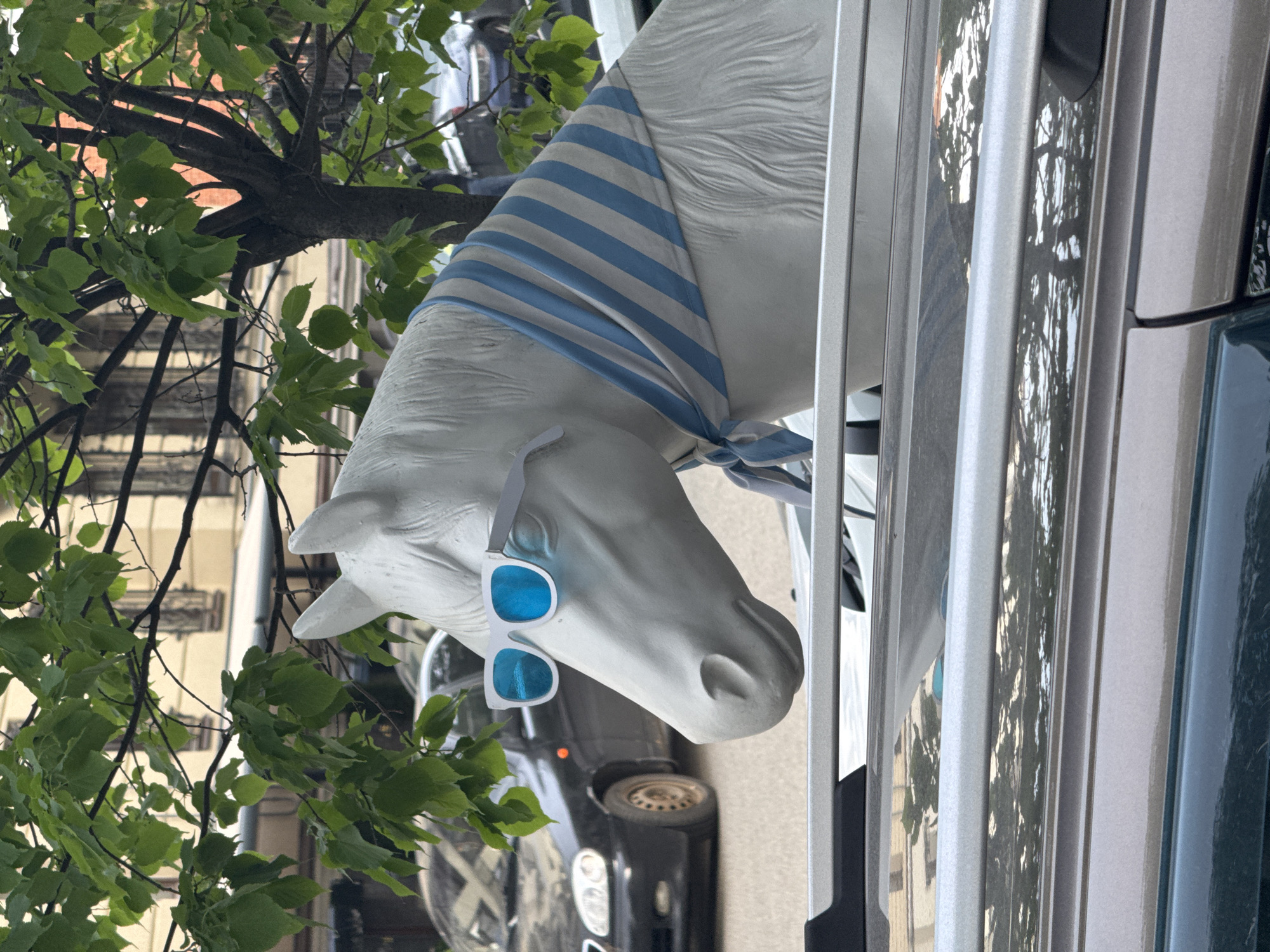 The image shows a white statue of a horse's head, wearing sunglasses and a blue and white striped bandana, appearing to look out from a car window. The car is parked on a street with trees and buildings in the background. The location is Kazan, Russia.