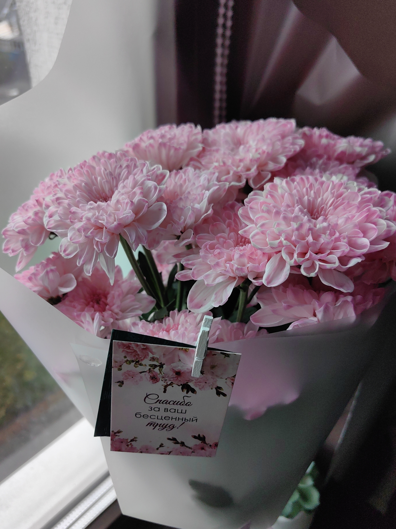 A bouquet of light pink chrysanthemums, wrapped in white and translucent paper, is displayed indoors. A small card attached to the bouquet reads "Спасибо за ваш бесценный труд!" in Russian, meaning "Thank you for your invaluable work!". The background is out of focus, showing dark and light tones, possibly suggesting a window or other interior elements. The image appears to be taken in Fanipal, Belarus.