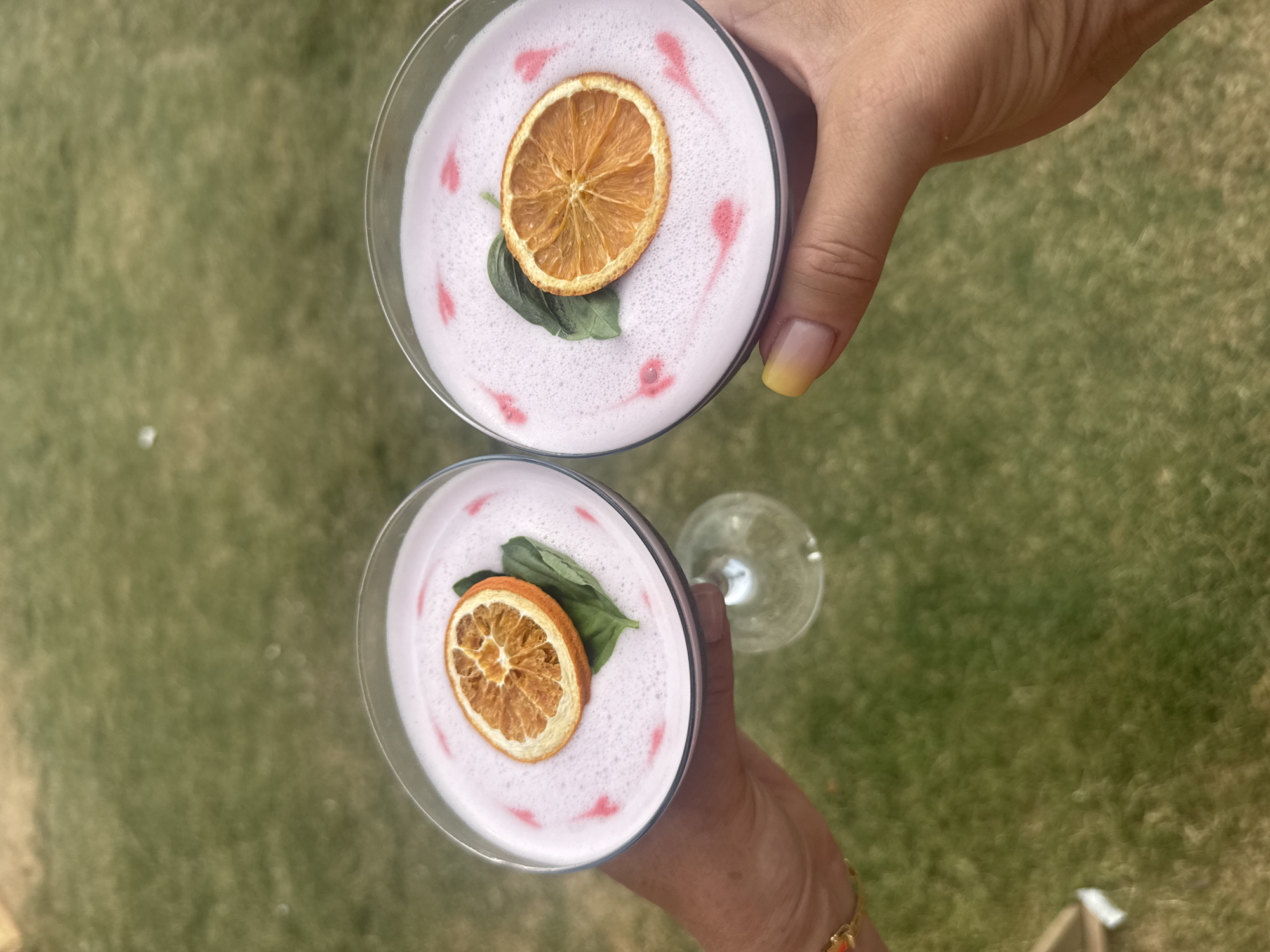 Two glasses of pink-frothy cocktails are held by hands outdoors on a grassy lawn. Each cocktail is garnished with a dehydrated orange slice and a small green leaf, and decorated with pink swirls. The upper glass is held by a hand with a yellow-painted fingernail. The lower glass is held by a hand wearing a gold bracelet. In the background, the green grass suggests daytime. The overall atmosphere is casual and relaxed.