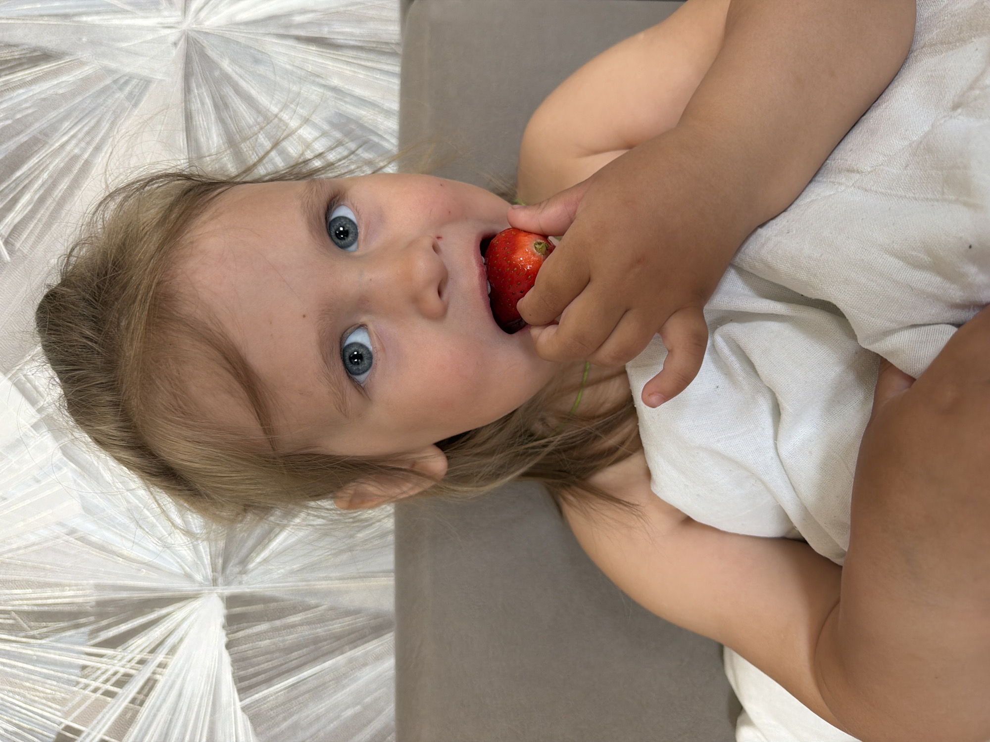 An eye-level shot captures a young child, likely a toddler, lying down and in the process of eating a strawberry. The child, with fair skin, light brown hair, and striking blue eyes, gazes directly at the camera with a focused expression. Their mouth is open wide, encompassing a large, red strawberry held firmly by their right hand. The child is partially covered by a white, textured fabric, possibly a blanket or sheet.
The background is split into two distinct areas. To the left, there is a light-colored, possibly white, surface with a radiating, starburst-like pattern, which could be a decorative bedspread or carpet. To the right, the background is a plain, solid greyish-brown fabric, suggesting a pillow, couch, or mattress. The overall setting appears to be indoors, under bright and even lighting. No text is visible in the image. The child's intense focus on the strawberry and their wide-eyed stare create a sense of candid immediacy.