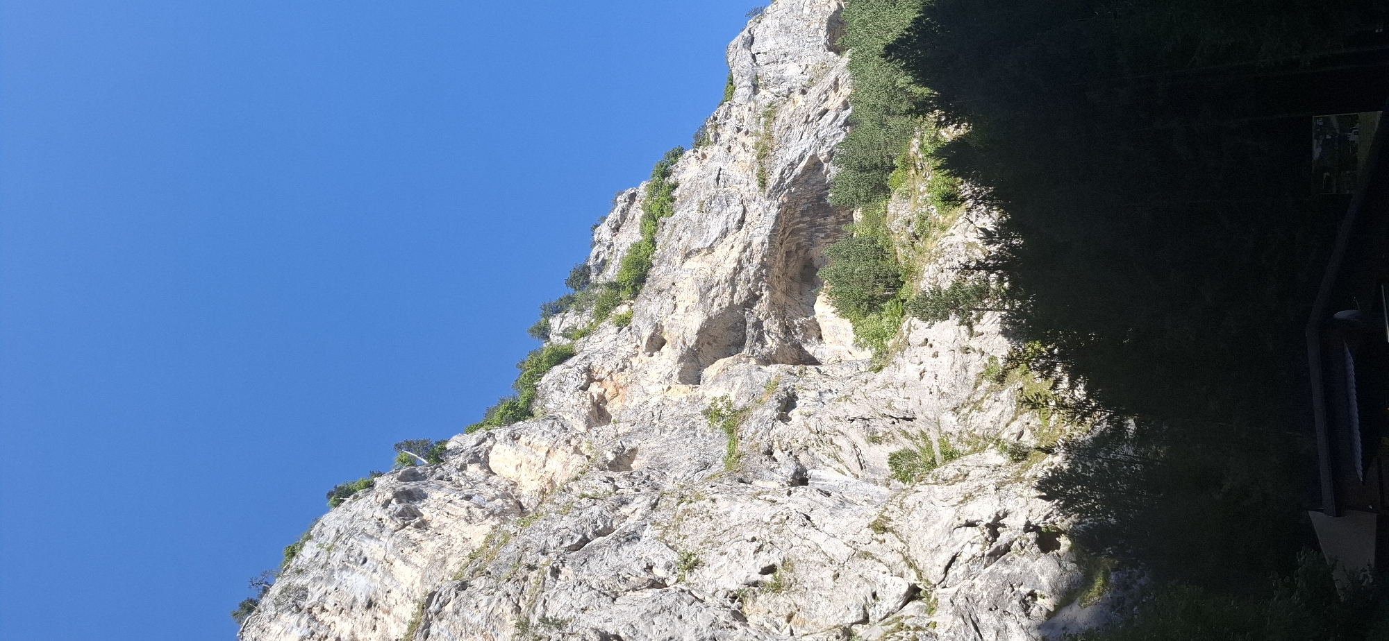 The image depicts a wide, rocky cliff face under a clear blue sky. The cliff exhibits rugged textures and varying shades of gray and beige, with some areas of lighter rock and darker shadows. Sparse green vegetation, including trees and shrubs, grows along ledges and at the base of the cliff. A large cave opening is visible in the mid-section of the cliff. In the foreground, a dense forest of dark green trees casts a shadow across a portion of the lower cliff and the base. At the very bottom of the image, the roof of a dark-colored building is partially visible, suggesting a human-made structure in the vicinity. The scene appears to be a natural landscape, possibly a mountain or gorge, in the area of Trigrad, Bulgaria.