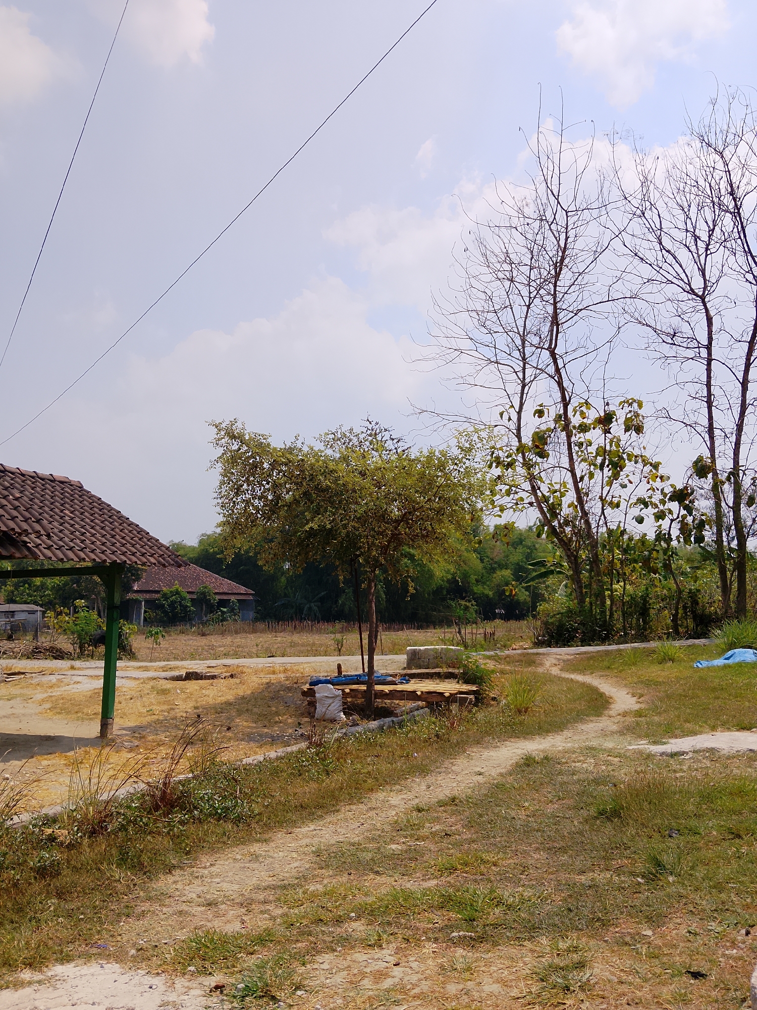 In the city of Kasiman, Indonesia, a dirt path curves through dry grass and sparse vegetation under a cloudy sky. To the left, a simple open-air shelter with a tiled roof is supported by green posts, adjacent to what appears to be a small building and stacked lumber. A lone tree with full foliage stands in the middle ground, its trunk supported by a wooden structure. Beyond this, several bare trees with intricate branches punctuate the landscape, interspersed with green foliage. In the distance, houses with tiled roofs are visible, surrounded by greenery. A blue tarp is spread on the ground to the right of the path. The scene is set in an outdoor, rural environment with a dry, somewhat arid appearance.