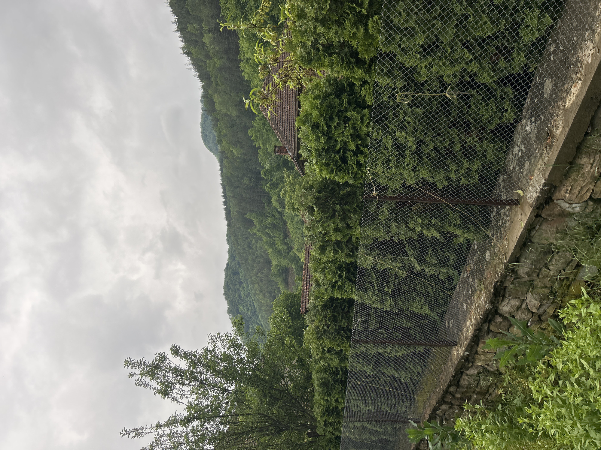 A landscape view shows a hillside behind a chain-link fence with a stone wall base. The fence is weathered and shows signs of age. On the hillside, dense vegetation covers the landscape, and a structure with a dark roof and chimney is visible amidst the foliage. The sky is overcast with gray clouds. The foreground contains green foliage.