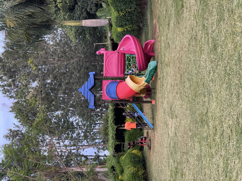 This image captures an outdoor children's playground set in a lush, green environment, characteristic of Makuyu, Kenya. The ground is covered with well-maintained green grass, and the area is bordered by dense trees, including a tall palm tree on the left, and manicured green hedges.
The focal point is a vibrant, multi-component playground structure. It features a large pink main platform, a distinct blue roof element shaped like the letter "K", and various slides including a red and blue enclosed tube slide, and a yellow open slide with a green base. A green climbing net is integrated into the structure, which is accessed via blue stairs. Adjacent to this, another bright pink play element, resembling a boat or whale, offers further recreation. In the distance, a red seesaw or merry-go-round is partially visible.
Two individuals are present: one person in a bright orange t-shirt stands on the grass near the blue stairs, while another, partially obscured, is on the stairs wearing a light-colored top. The scene depicts a tranquil daytime setting, with soft, natural light suggesting either late morning or afternoon on a clear or partly cloudy day, perfect for outdoor play and leisure.