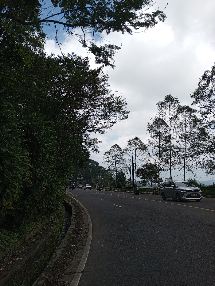 The scene is located in the city of Boommlog, Bhutan. The image displays a slightly curved asphalt road winding through a vegetated, sloping terrain under an overcast sky with visible patches of blue. On the immediate left, a concrete drainage gutter runs parallel to the road, bordered by a dense, tall wall of dark green foliage and trees ascending an embankment. The road features a visible white solid line marking the shoulder on the left and a yellow solid line indicating the center further down the perspective.
On the right side of the road, a metal guardrail separates the pavement from a downward slope dotted with various trees, including several tall, slender trees with sparse canopy. Vehicle traffic is observed on the road. In the foreground on the right lane, a silver multi-purpose vehicle (MPV) with the Indonesian license plate B 1272 PJJ is traveling away from the viewer. Further down the road, multiple vehicles, including several white cars and dark vehicles, are visible in both directions. Several motorcycles are also present; one appears on the far right shoulder, and another is further down on the main road. No individuals are clearly discernible. The distant background presents a hazy, undulating landscape beneath the horizon.