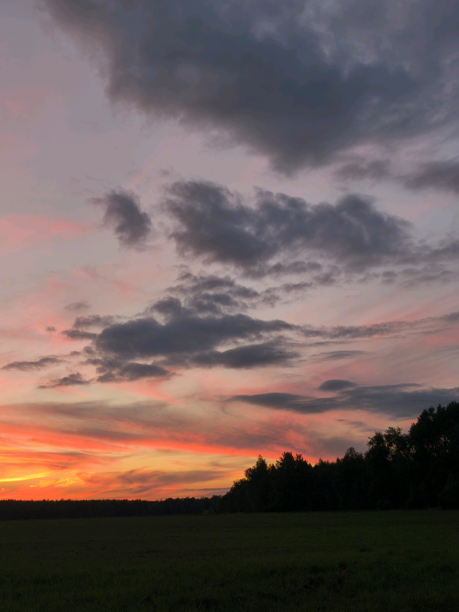 The image depicts a sunset over a rural landscape. A dark, silhouetted forest line runs horizontally across the middle ground, separating a dark, grassy field in the foreground from the vibrant sky above. The sky is filled with dramatic clouds, colored in hues of orange, pink, and purple, with darker gray clouds interspersed. The location is identified as Кадзінскі сельскі Савет, Belarus. There are no people or animals visible in the scene. The overall impression is one of natural beauty and tranquility at dusk.