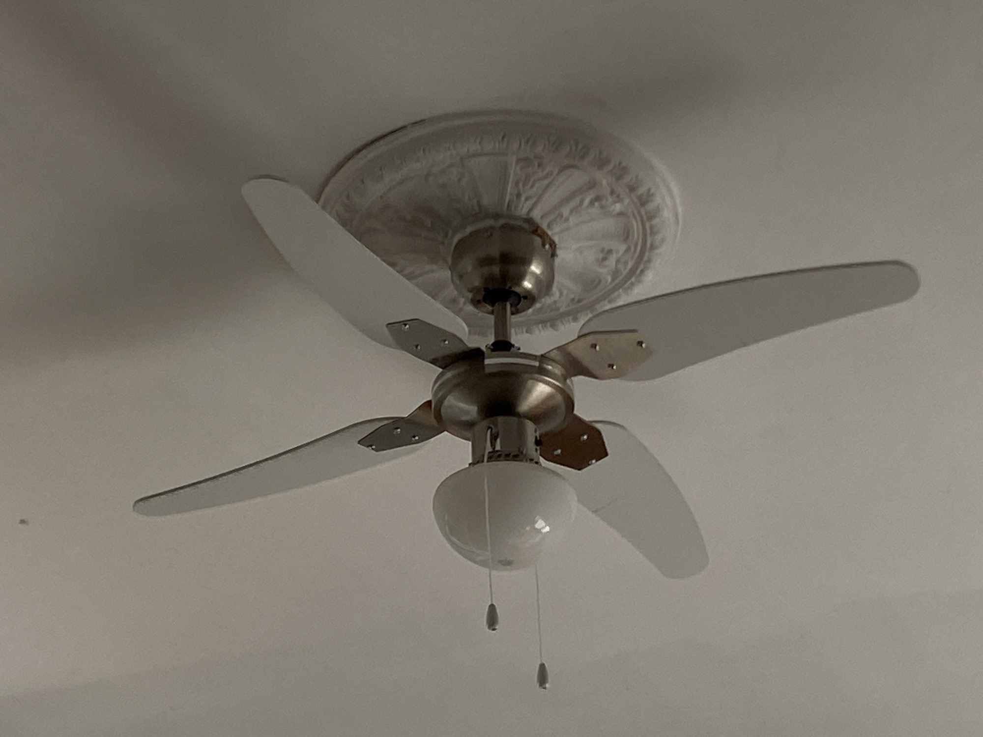 A ceiling fan with five white blades is mounted on a white ceiling with ornate plasterwork surrounding the fixture. The fan has a brushed nickel motor housing and a frosted white glass light fixture. Two pull chains hang from the light fixture. The image is a close-up, taken from below, and there is no indication of its location in Belgrade, Serbia.