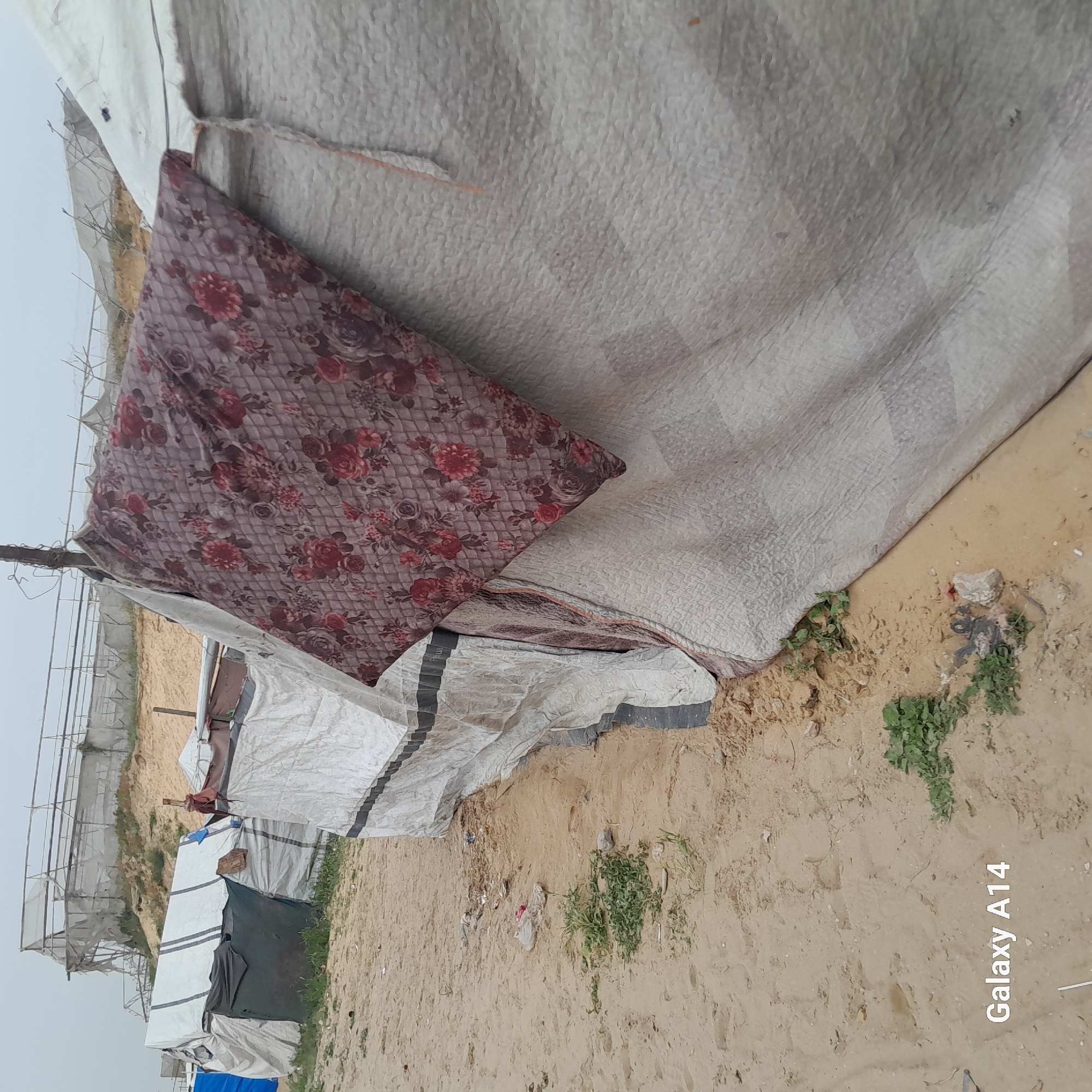 The image depicts a makeshift shelter in an impoverished area, presumably in or near Khan Yunis, Palestinian Territory, based on the context. The shelter appears constructed from various discarded materials, including white woven tarpaulin, a floral-patterned cushion, and other unidentified coverings. The ground is sandy, with scattered debris and sparse vegetation. The overall scene suggests conditions of displacement, poverty, and limited resources. In the background, structural frameworks, likely greenhouses, are visible. There are no people immediately visible.