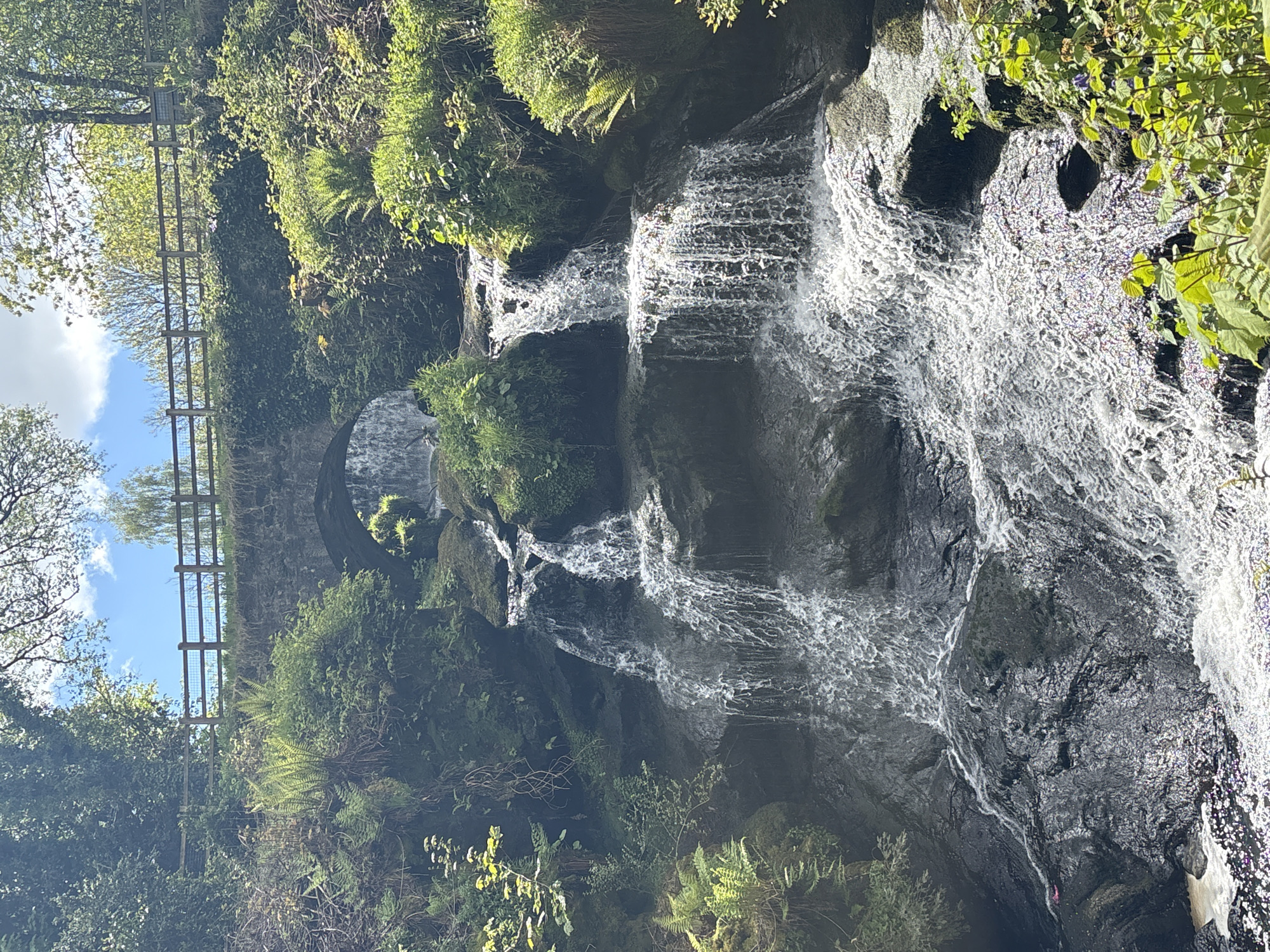 The image depicts a waterfall cascading down a rocky cliff face. Lush vegetation, including ferns and various plants, surrounds the waterfall. A stone bridge is partially visible in the background. A wooden fence is set along the edge. The scene is Thornliebank, United Kingdom.