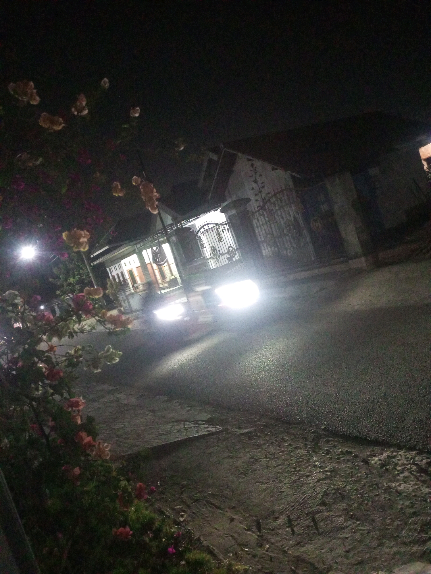 A car with its headlights on is driving on a street at night in front of a house in Ngasem, Indonesia. The car's headlights are illuminating the street and the front of the house. A tree with pink and orange flowers is in the foreground on the left side of the image. The house has a gate and is lit up from the inside. The sky is dark and there is a street light visible on the left side of the image.